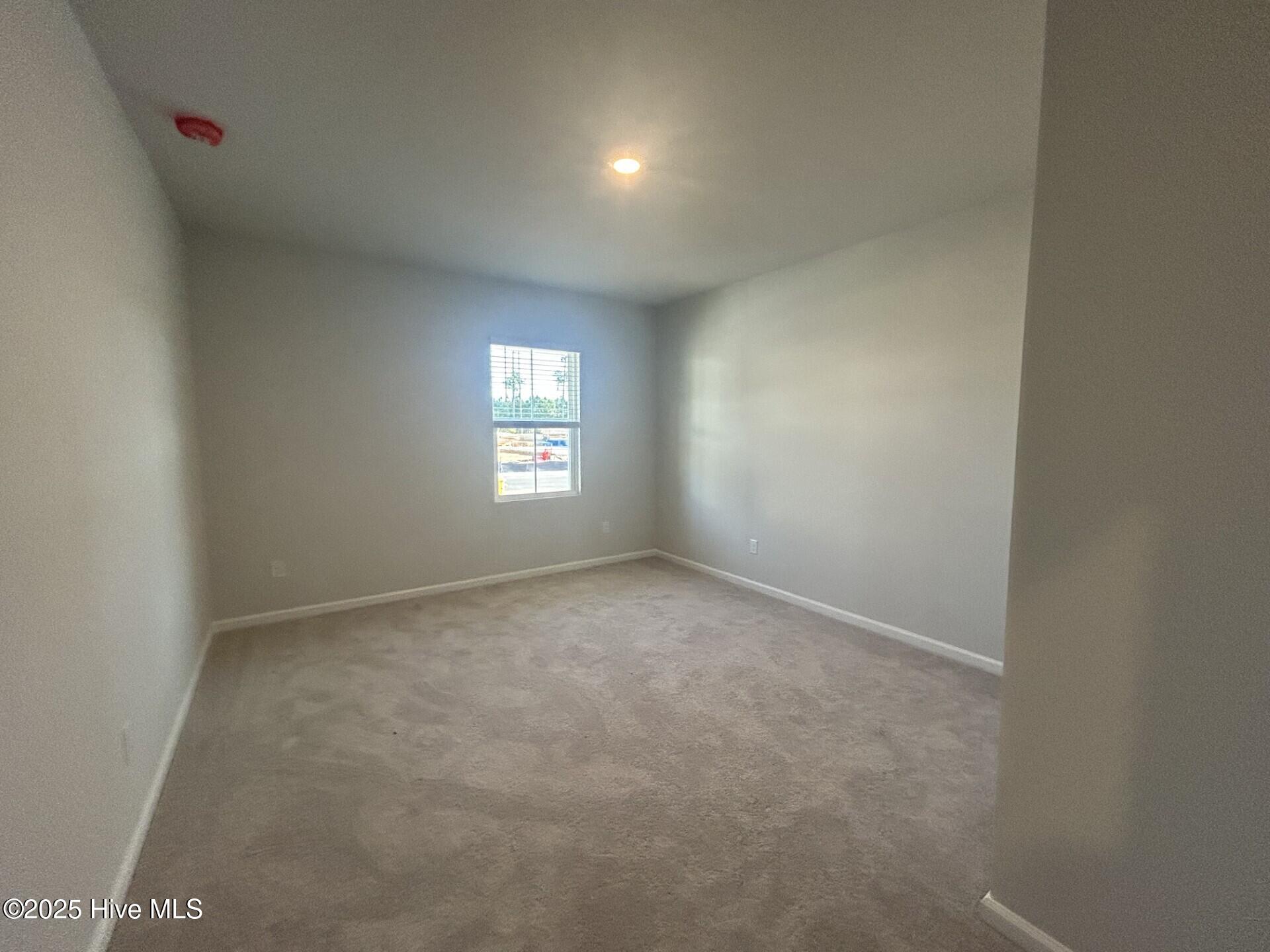 100540525 | Photo 14