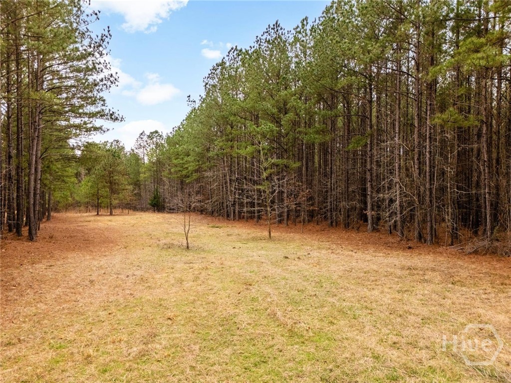 9th image of 1084 S Hesters Ferry Rd, Tignall, GA 30668 | MLS# CL361977