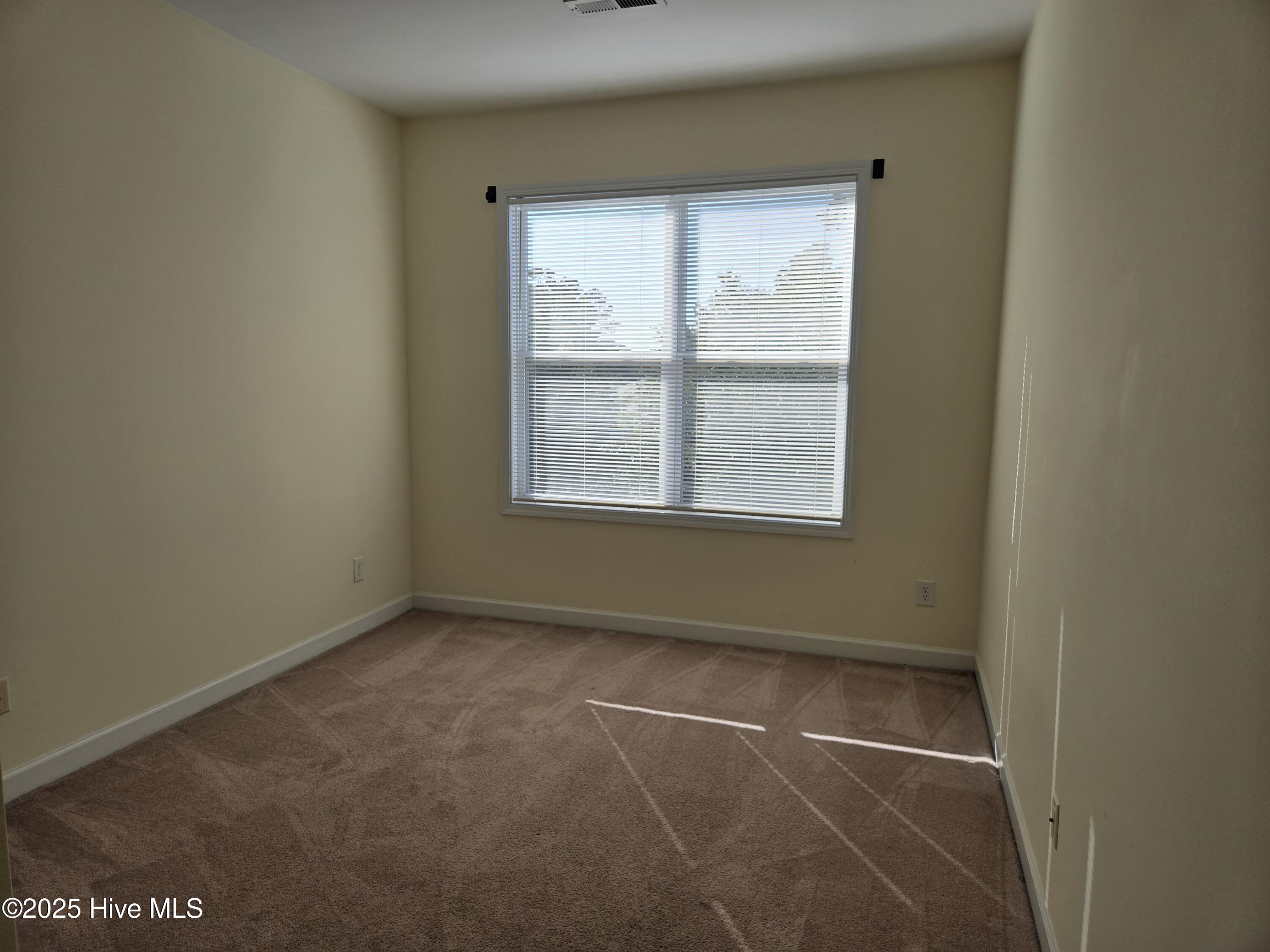 100538006 | Photo 16