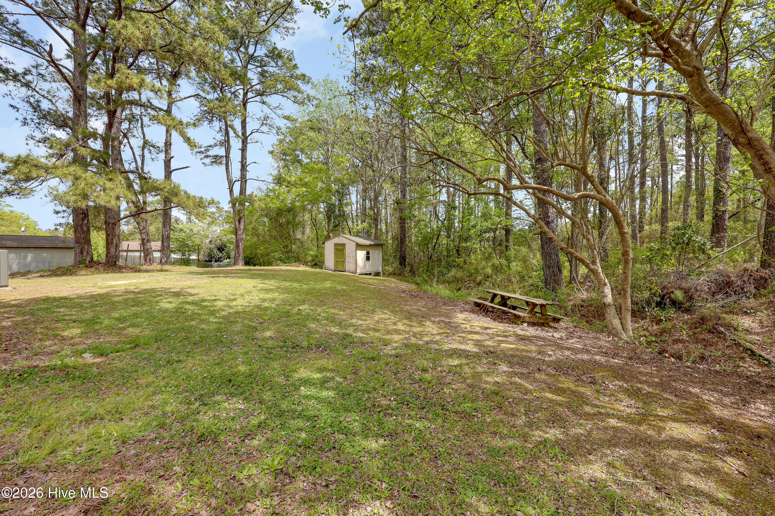 100564655 | Photo 28