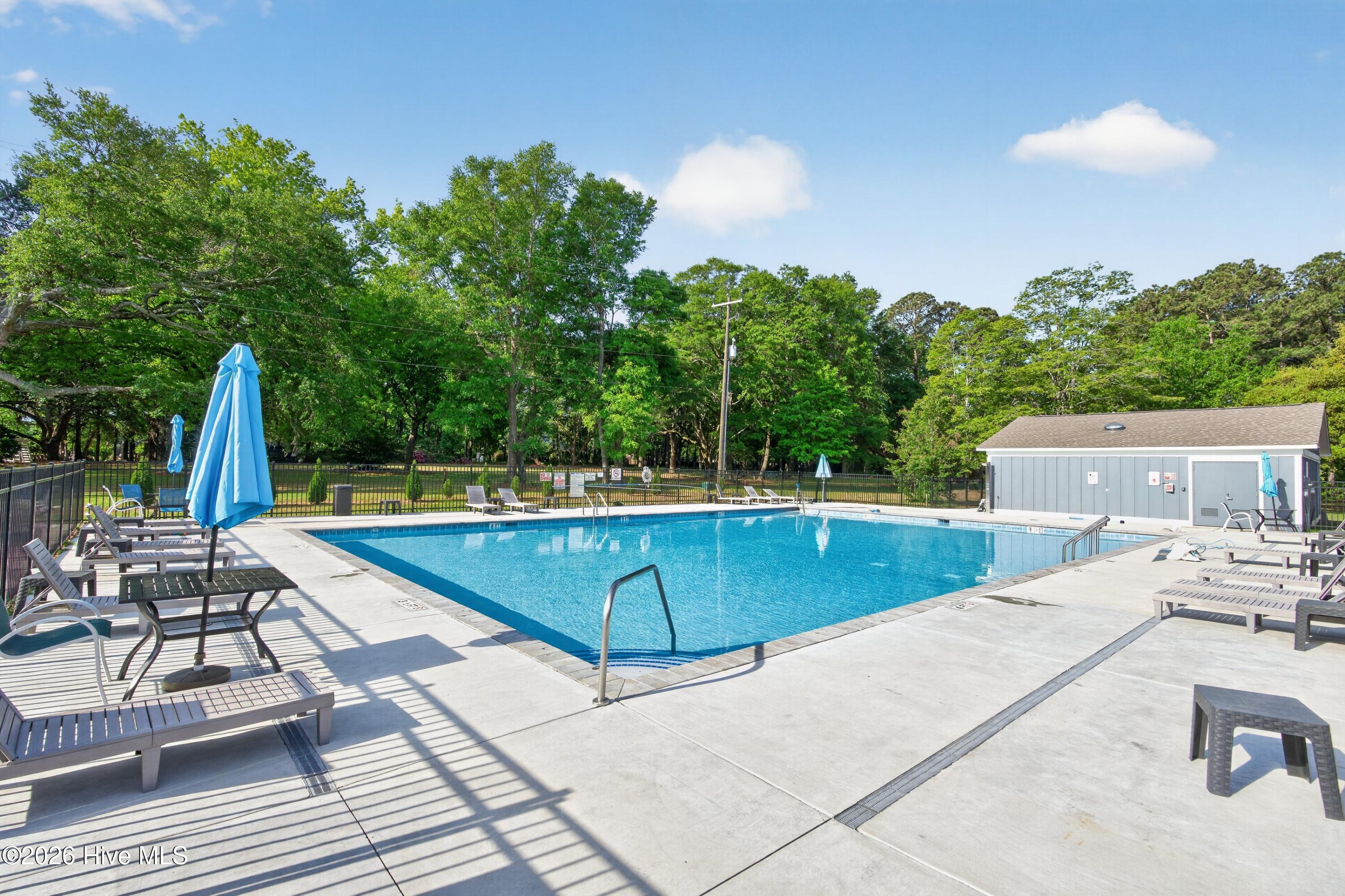 100567726 | Photo 41