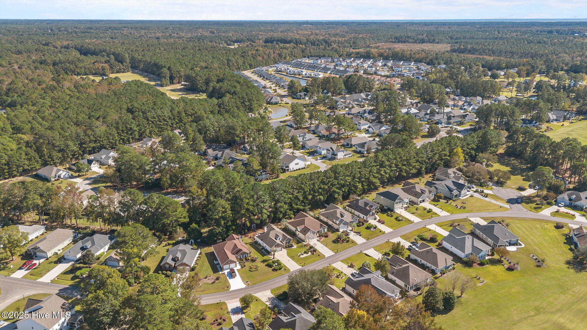 100539449 | Photo 42