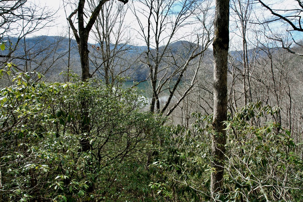 Homes for sale in Nantahala, NC | Lot 14 Holly Ridge Rd, Nantahala, NC 28781 | MLS# 98500220