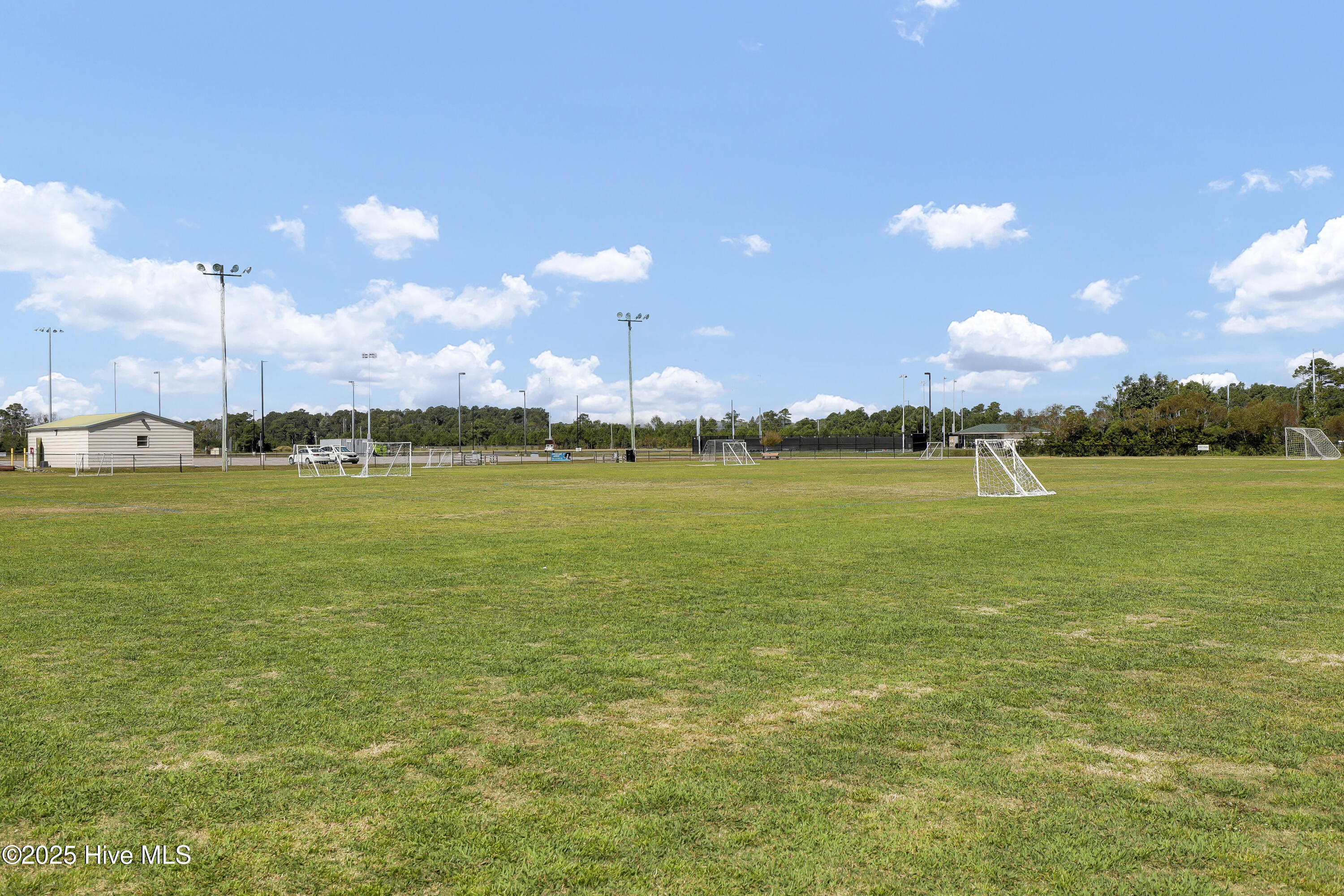 100536758 | Photo 54