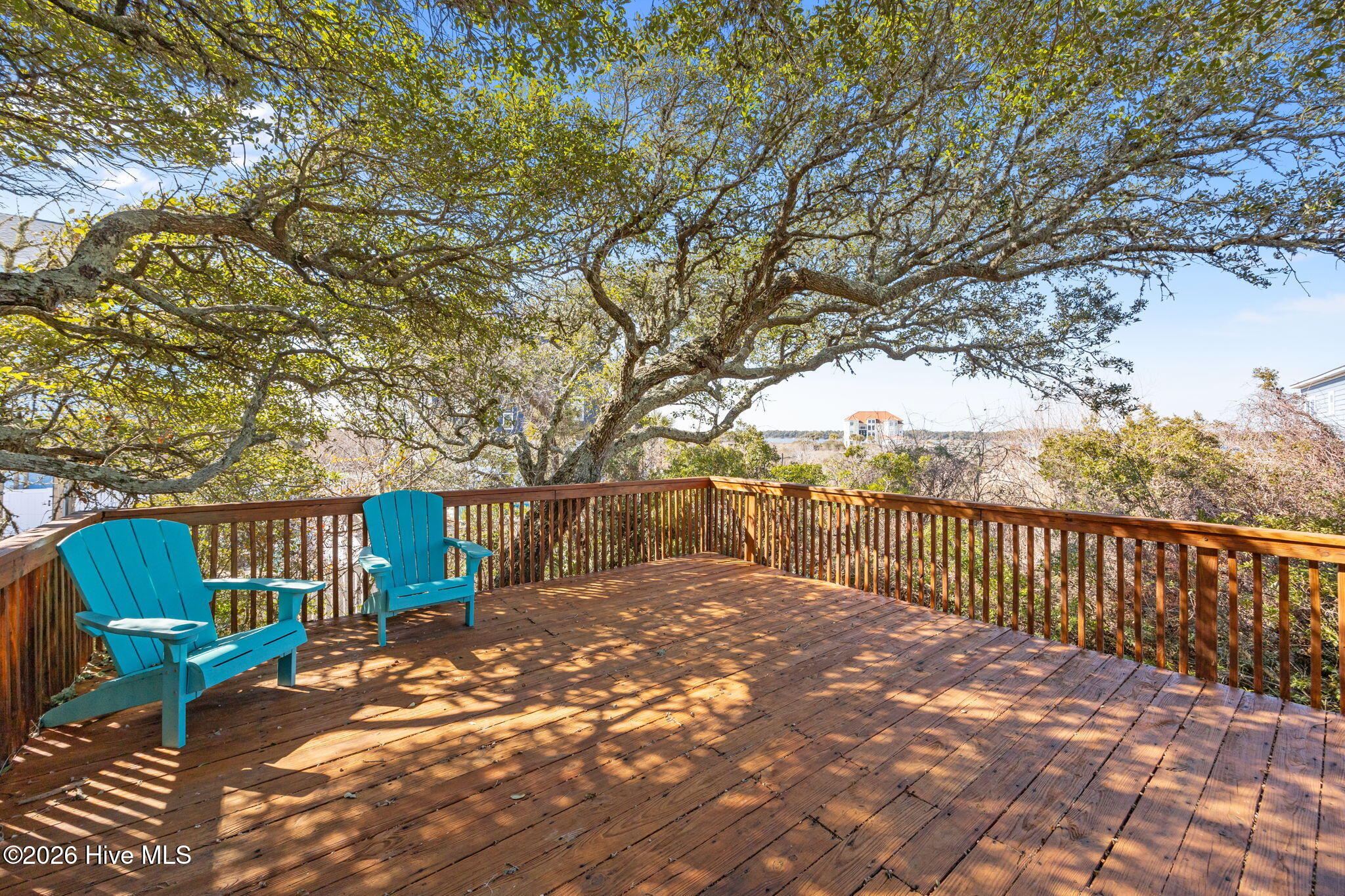 100553918 | Photo 40