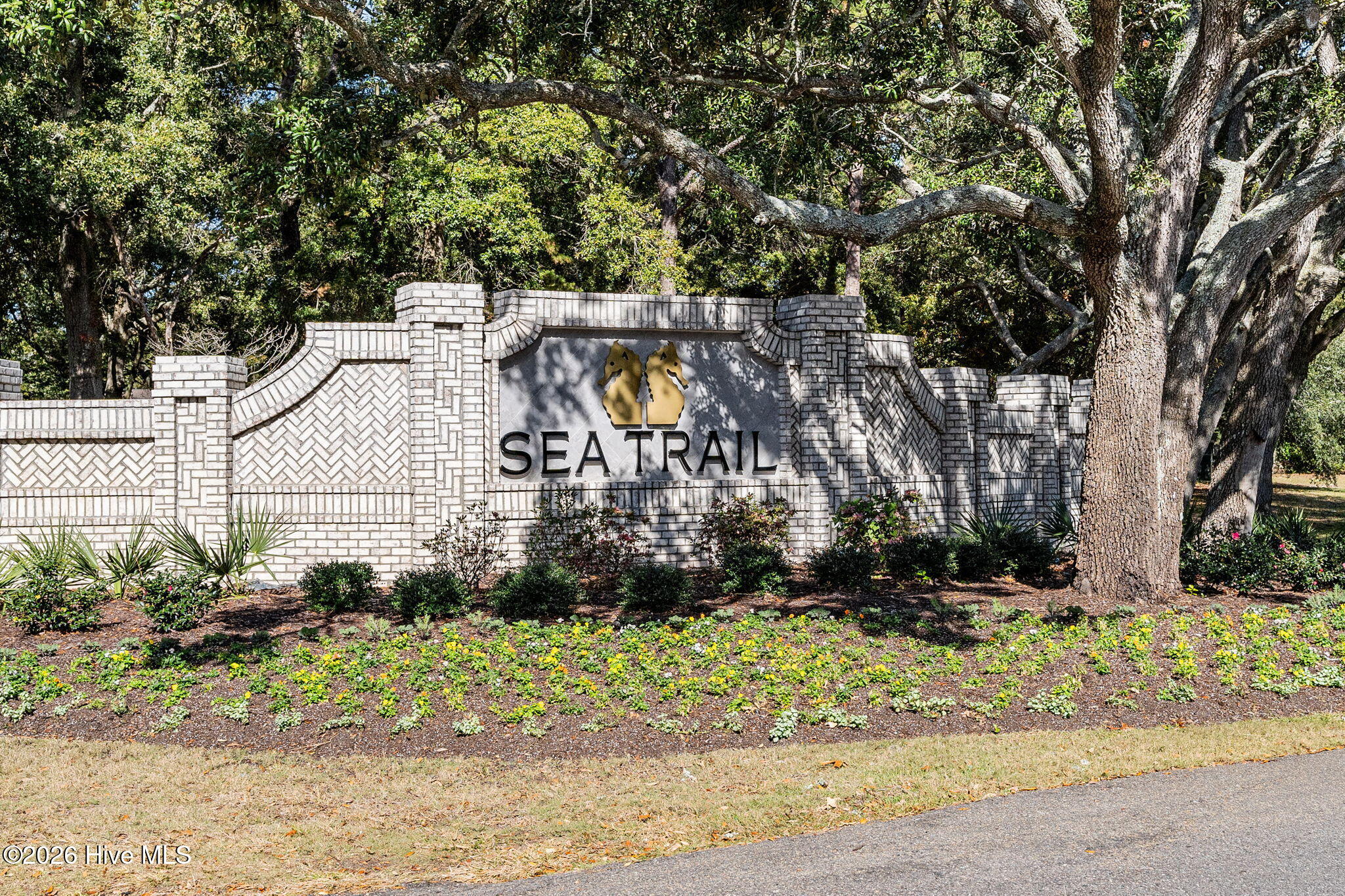 100559711 | Photo 46