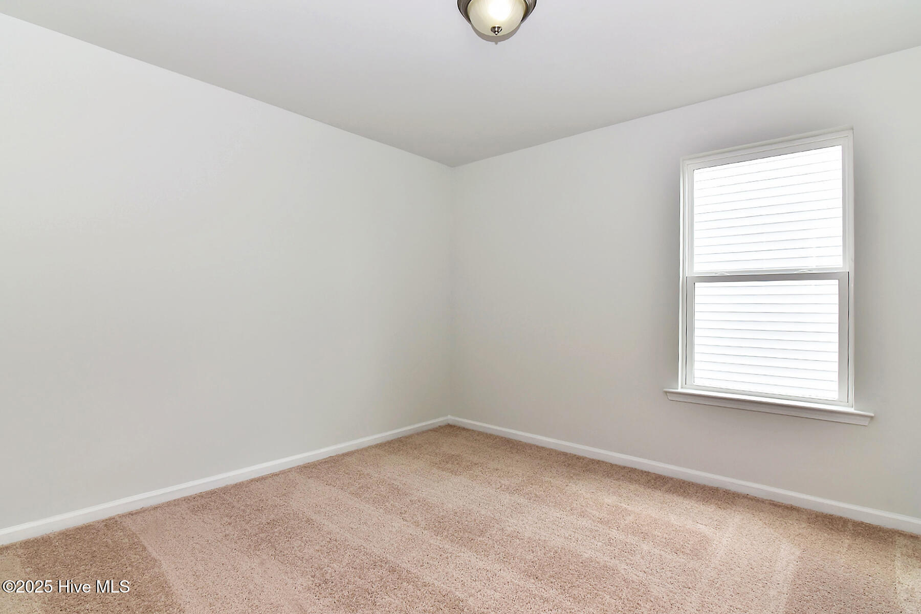 100545551 | Photo 14