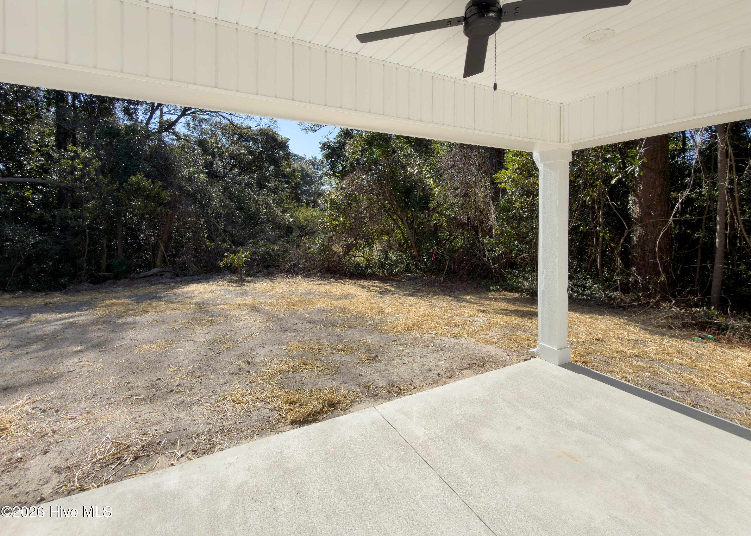 100566285 | Photo 19