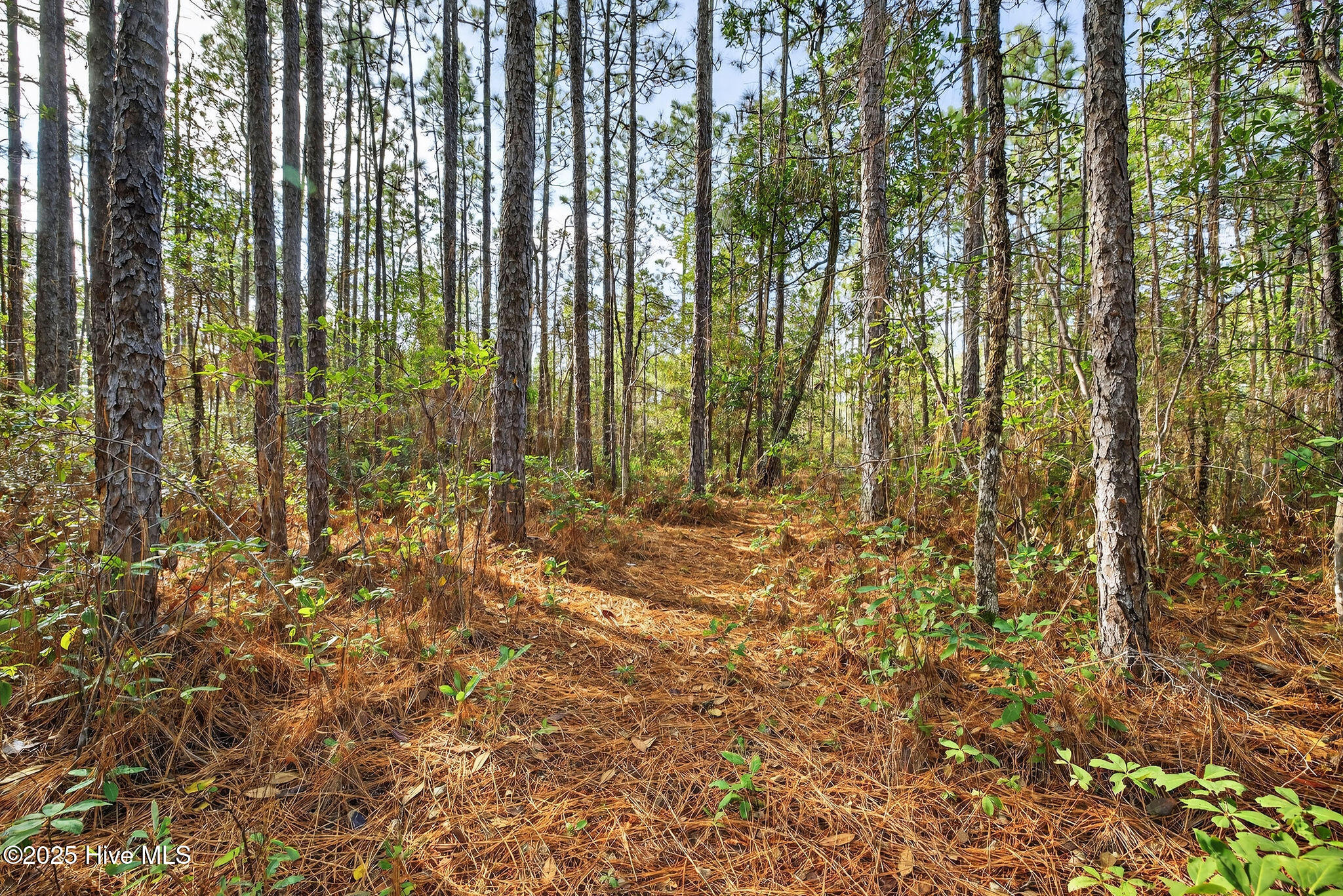 100544256 | Photo 31