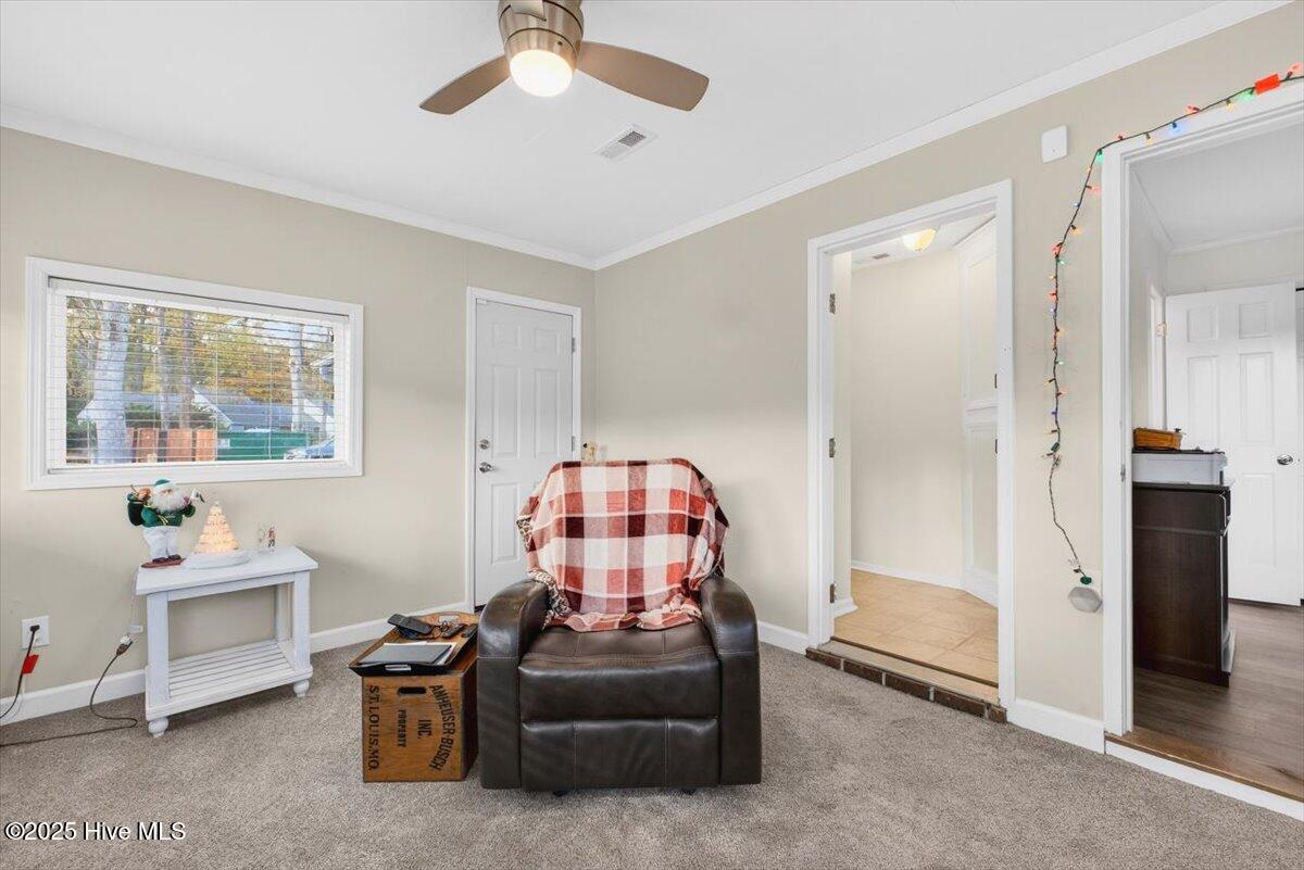 100545415 | Photo 31