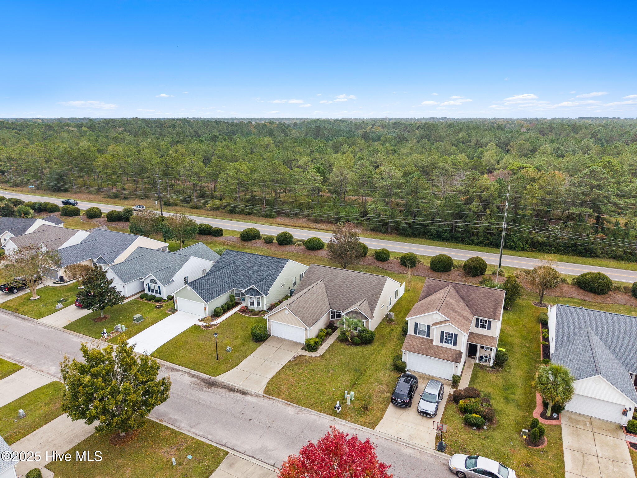 100536152 | Photo 19