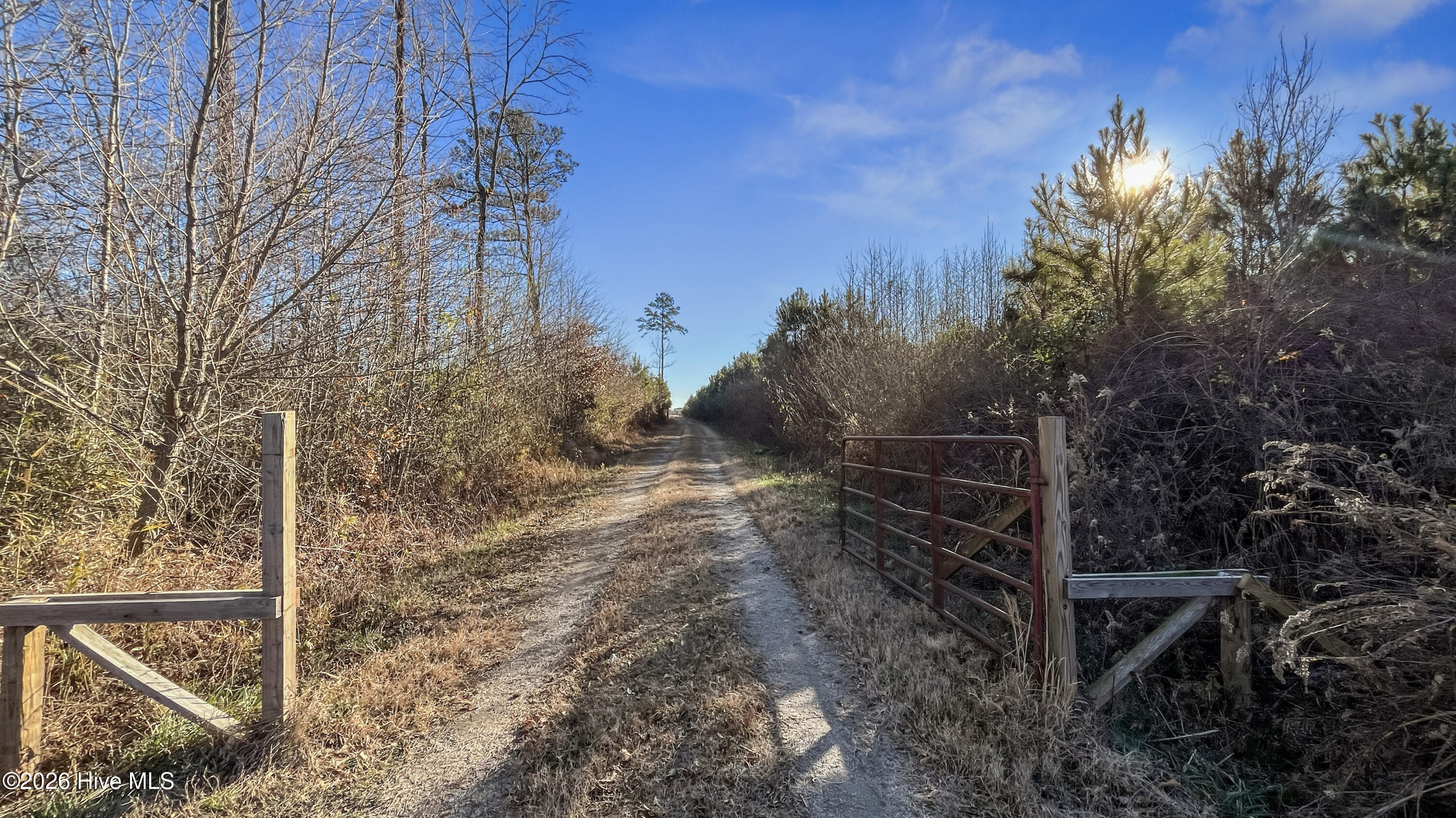 Homes for sale in Rose Hill, NC | 700 Acres Earl Davis Rd, Rose Hill, NC 28458 | MLS# 100550886