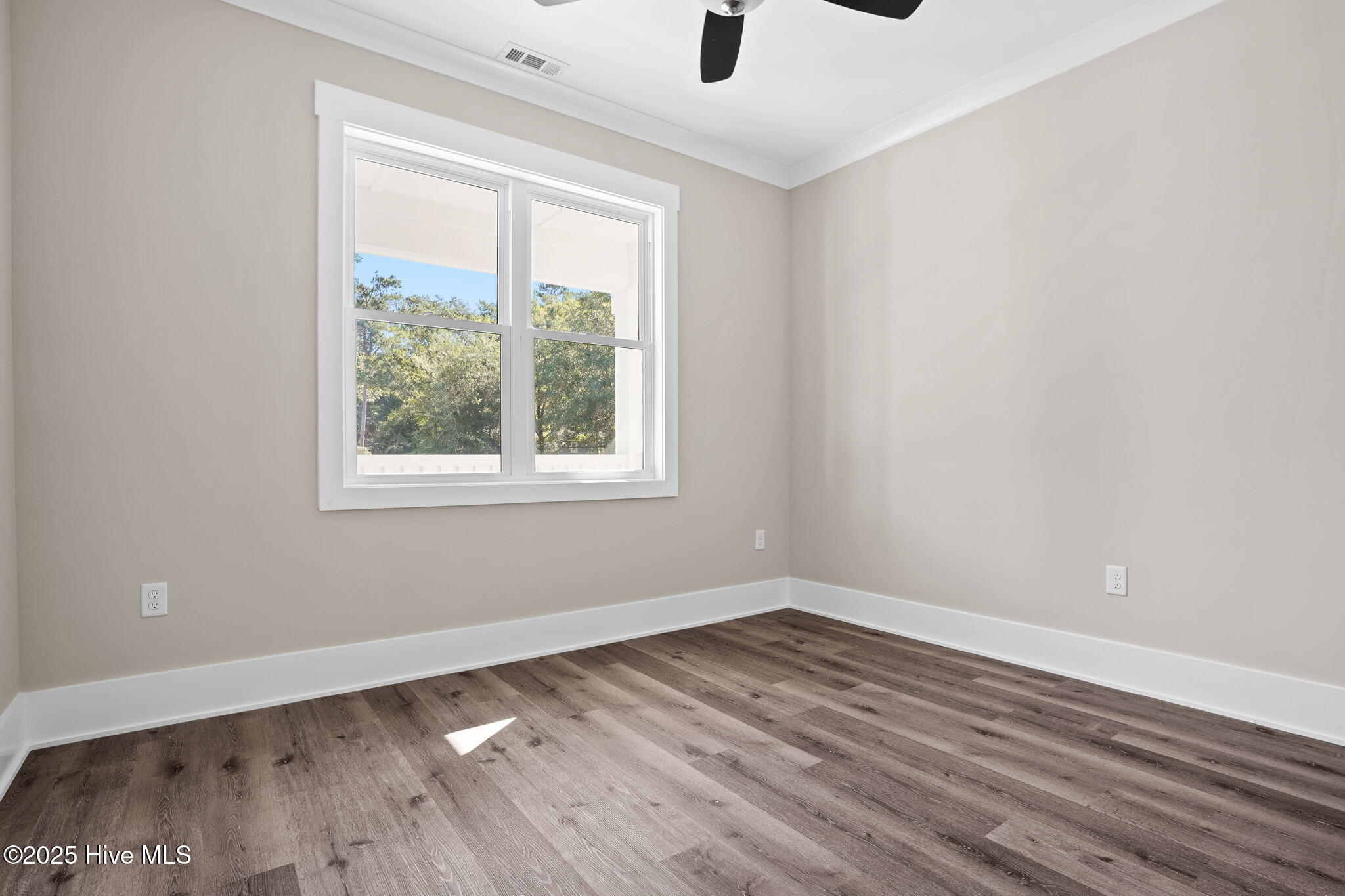 100535041 | Photo 25