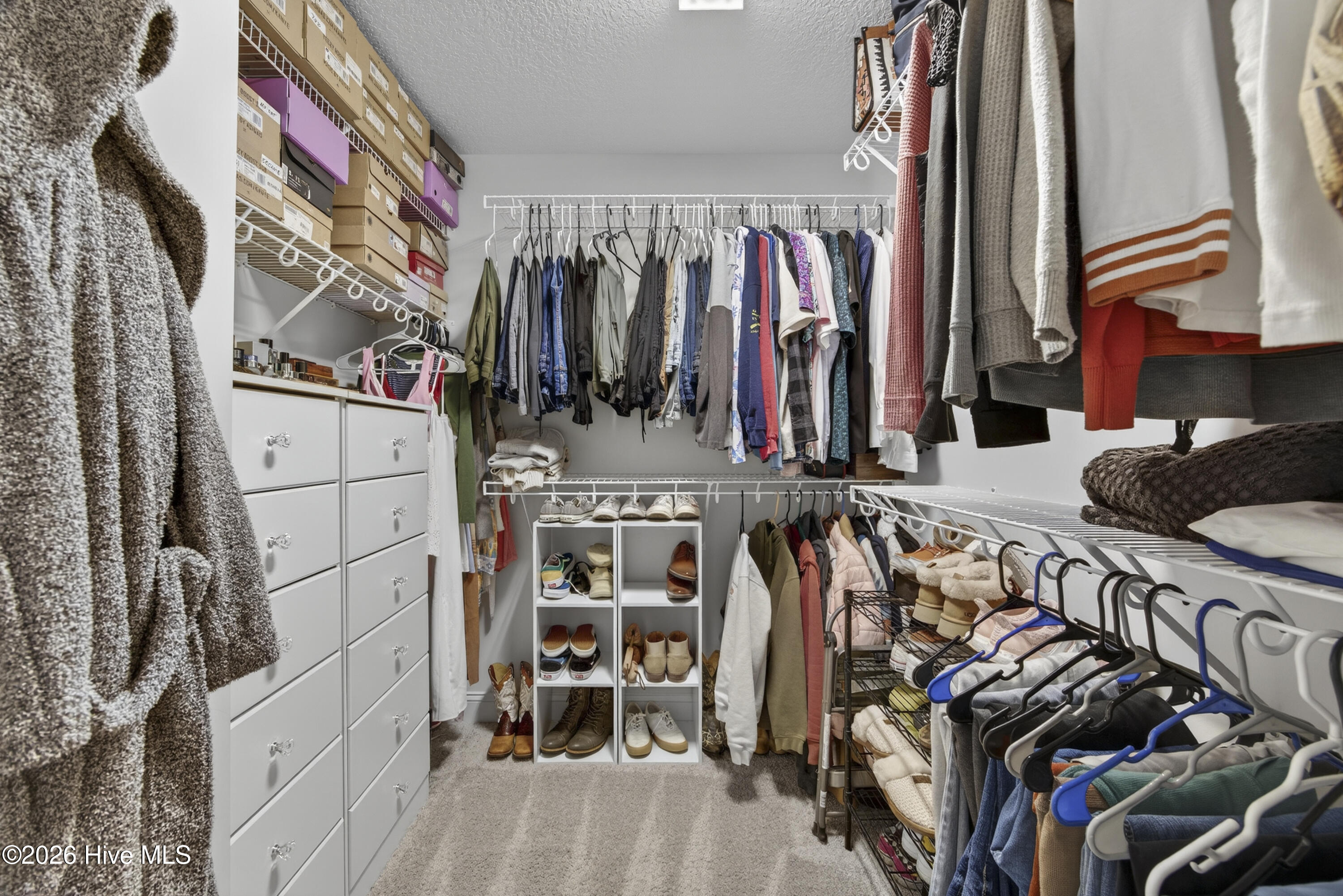 100558052 | Photo 33