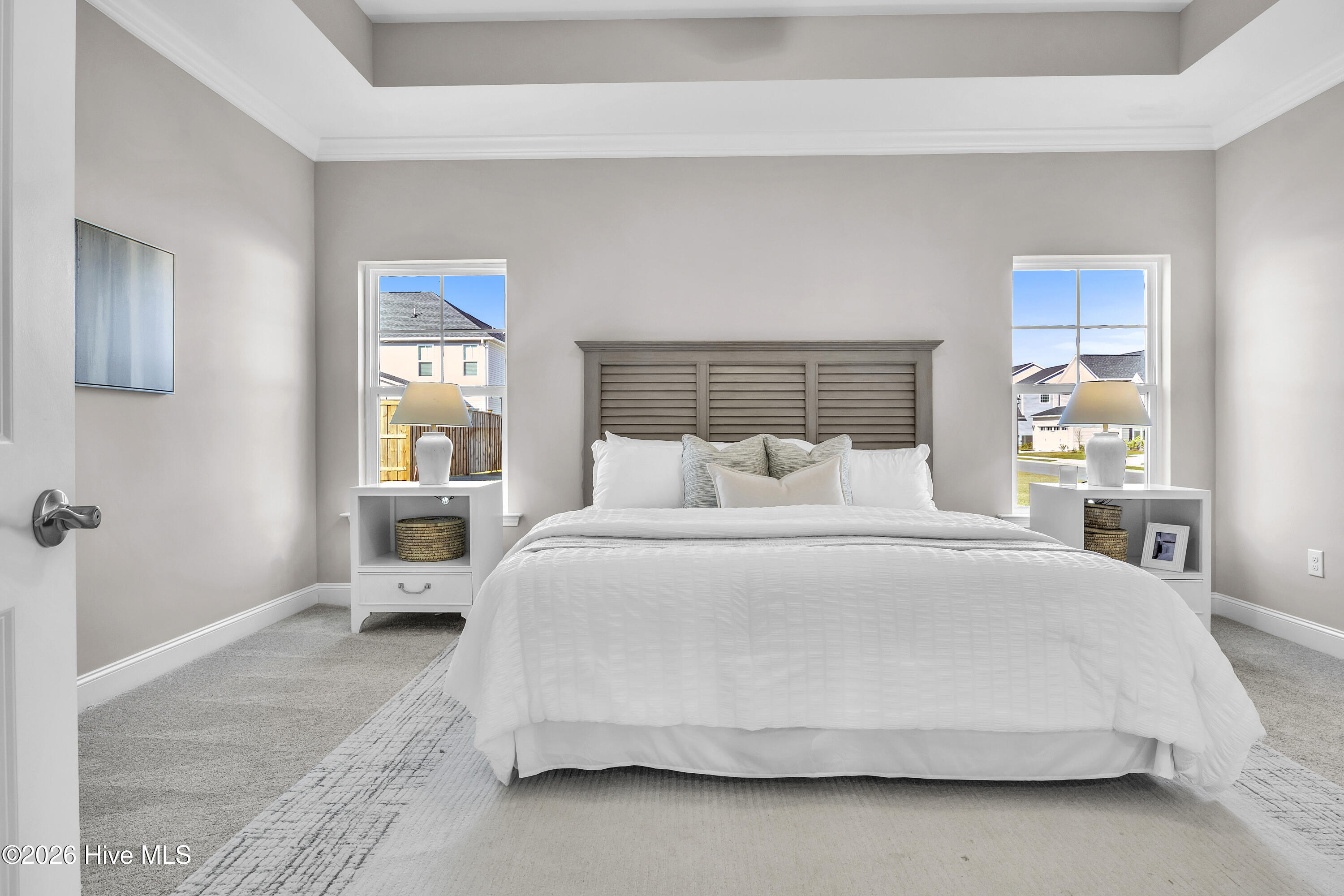 100561005 | Photo 29