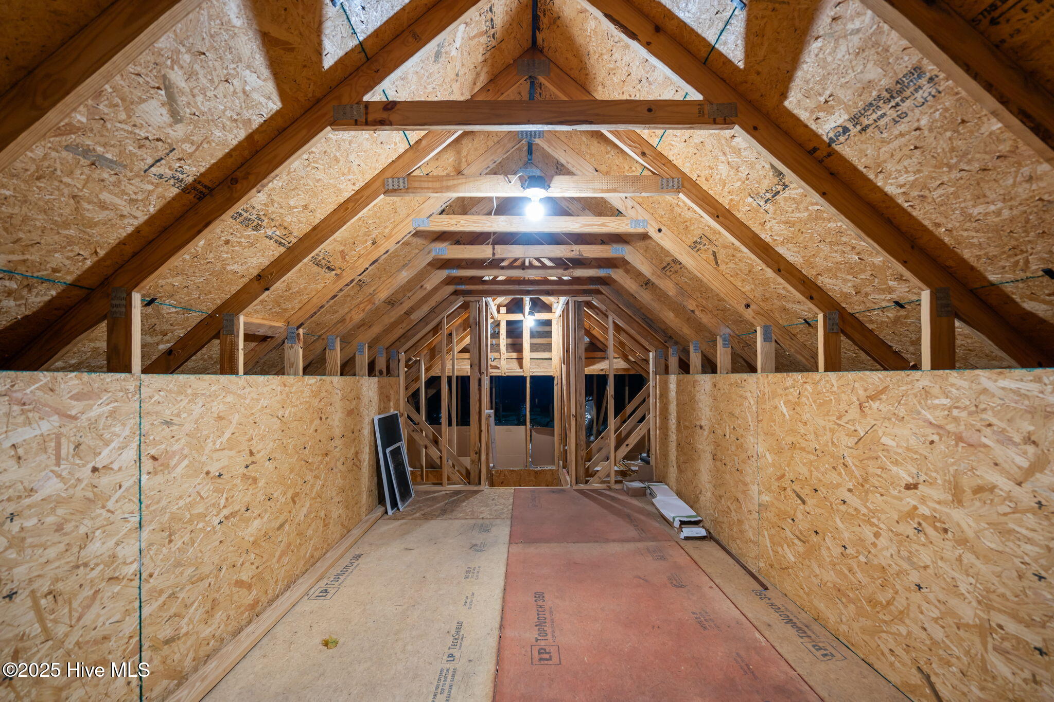 100565127 | Photo 51