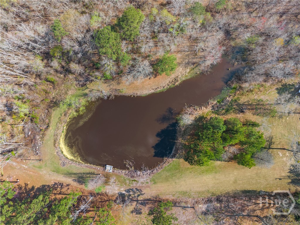 3127 Buttermilk, Sylvania, GA, 30467