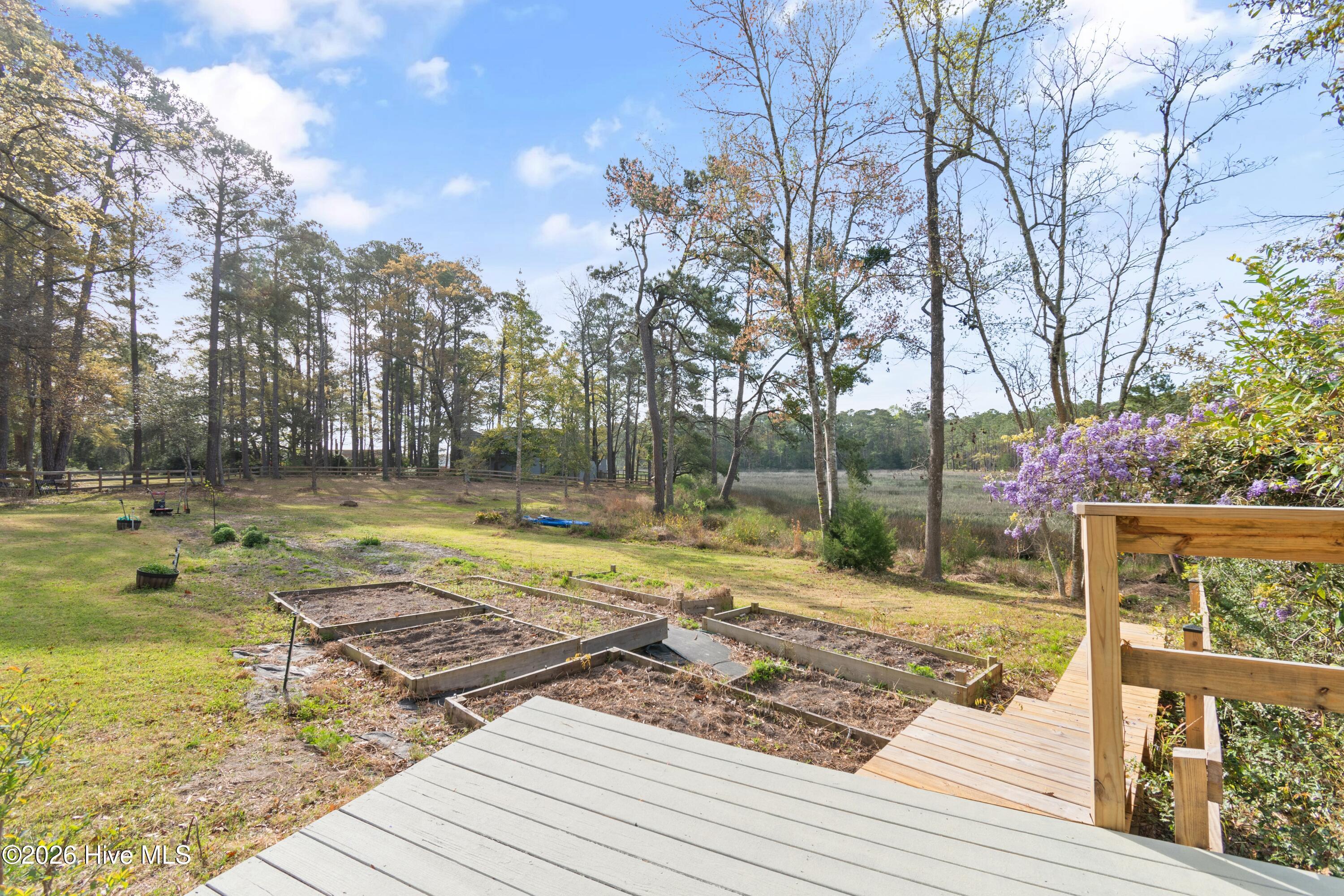 100564026 | Photo 57