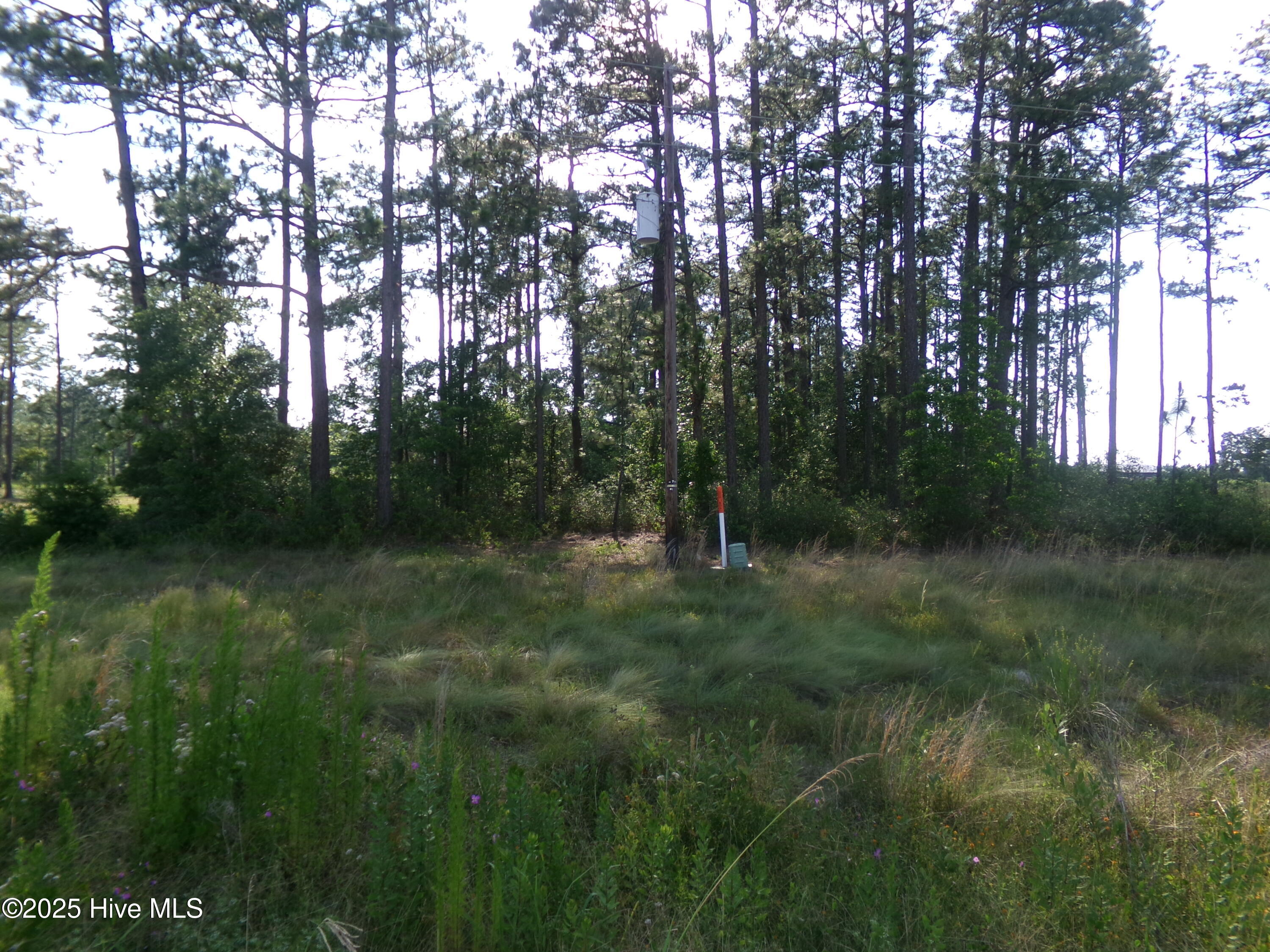 Lots 35-38 Us 701 Highway N, Elizabethtown, NC, 28337