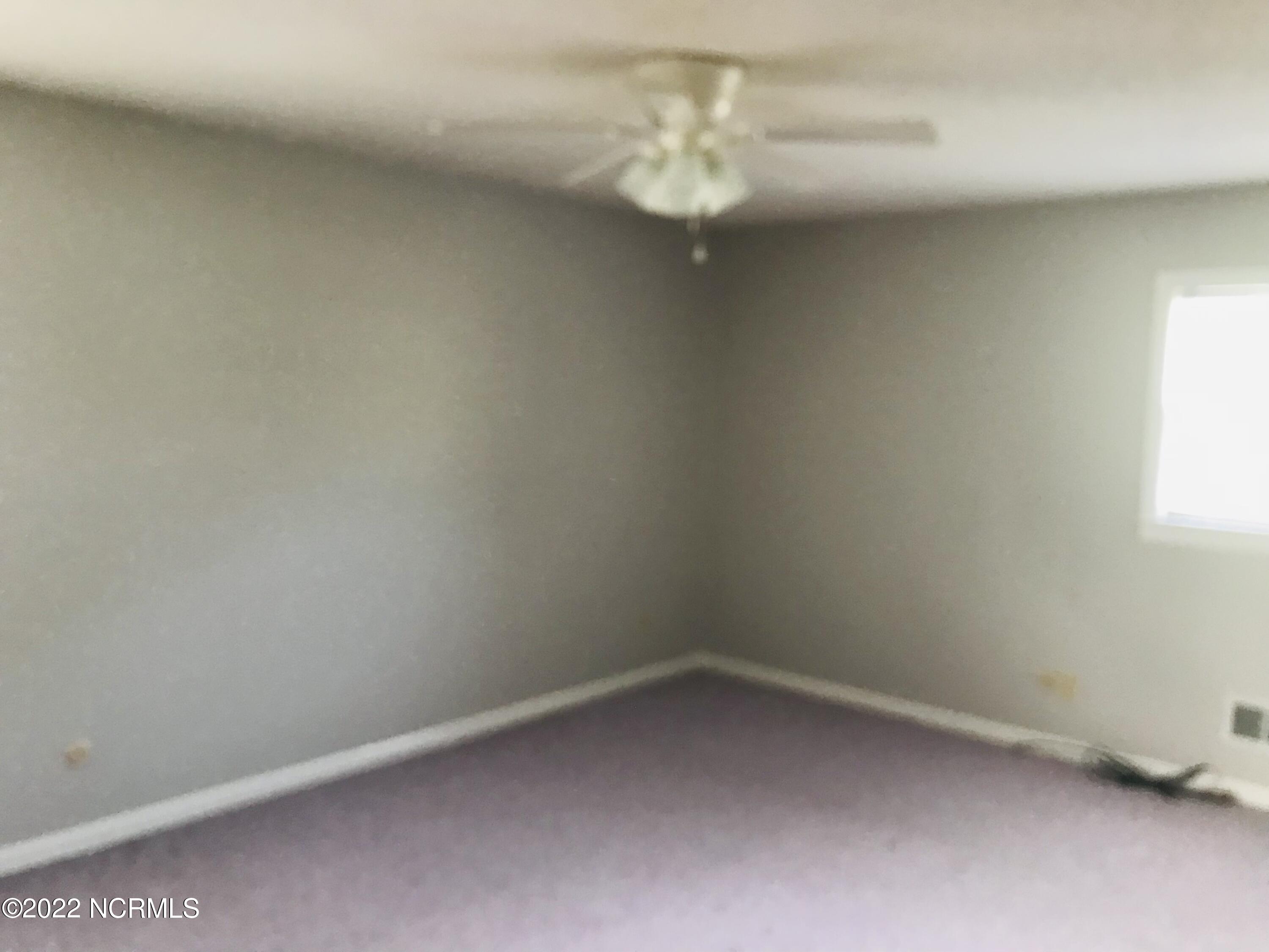 100537138 | Photo 17