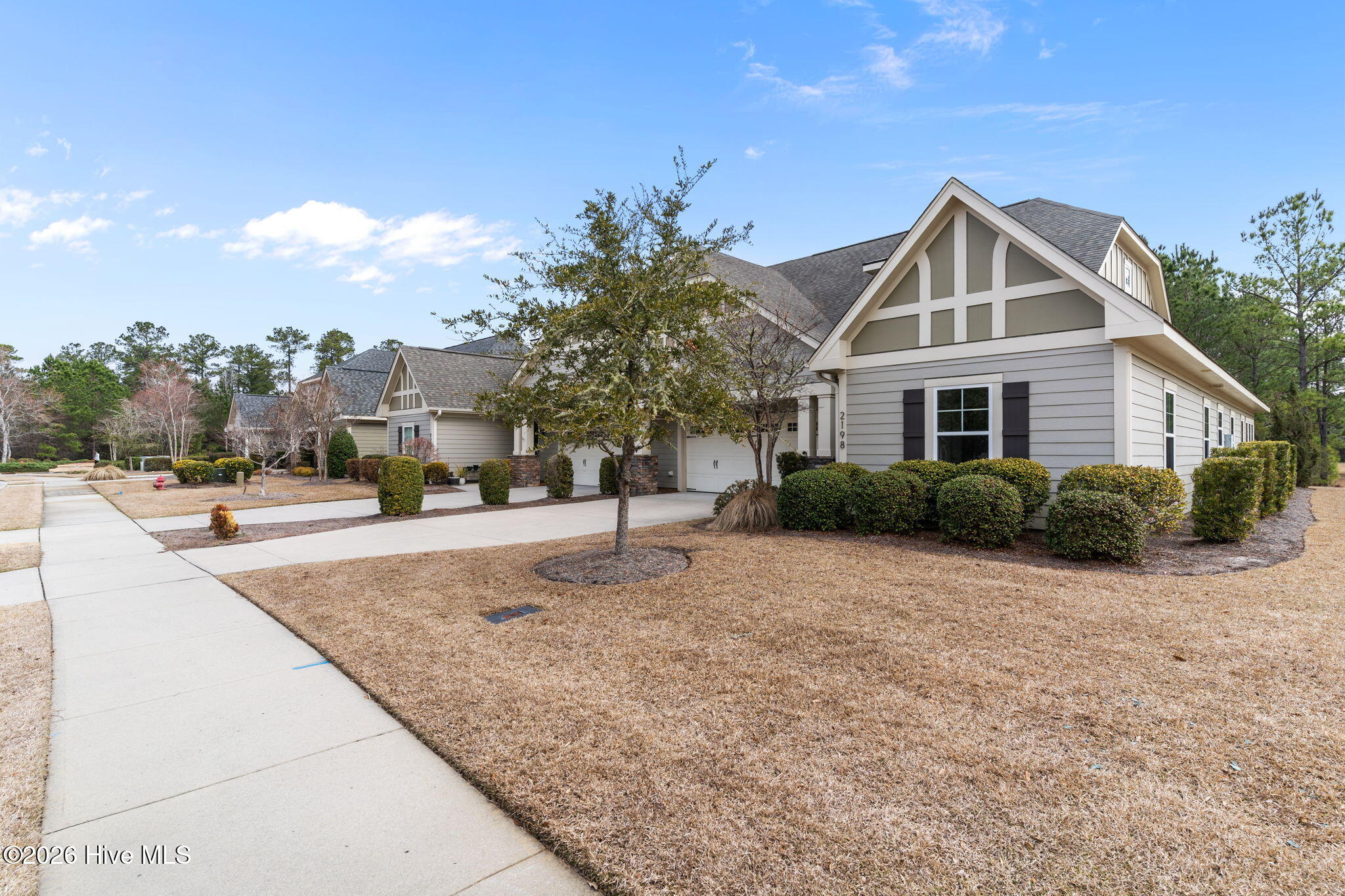 100558174 | Photo 43