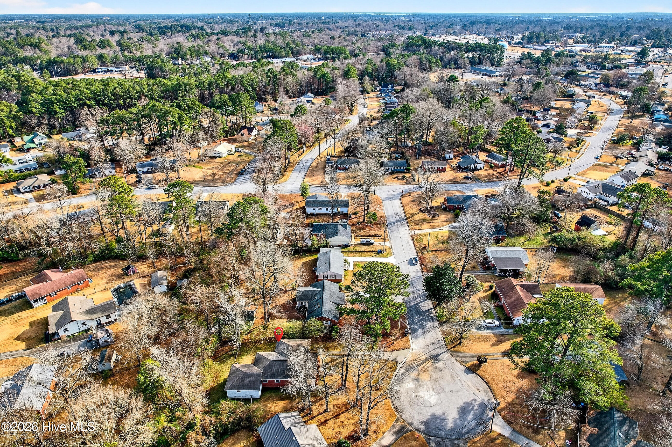 100550516 | Photo 35