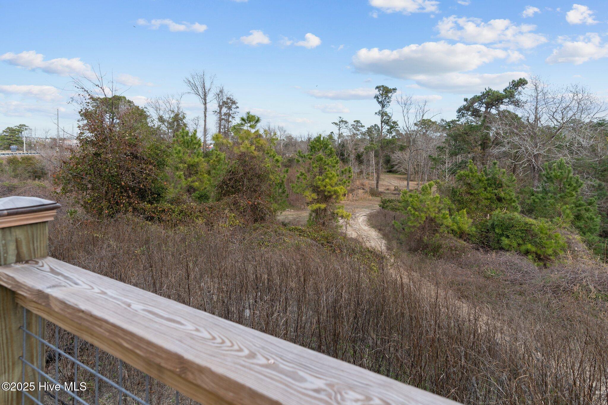 100545245 | Photo 49