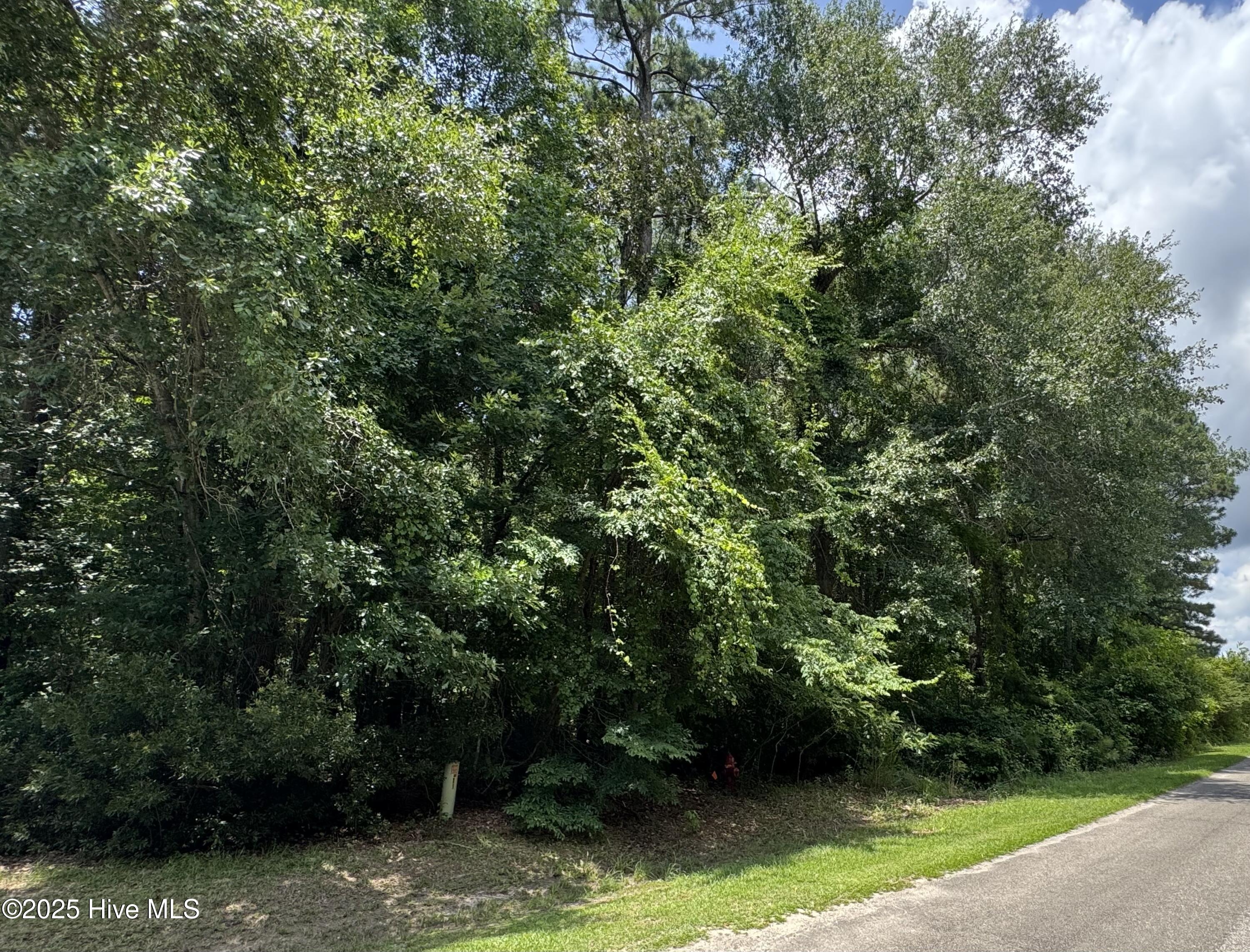 Homes for sale in Whiteville, NC | 263 Whites Crossing Ln, Whiteville, NC 28472 | MLS# 100517363