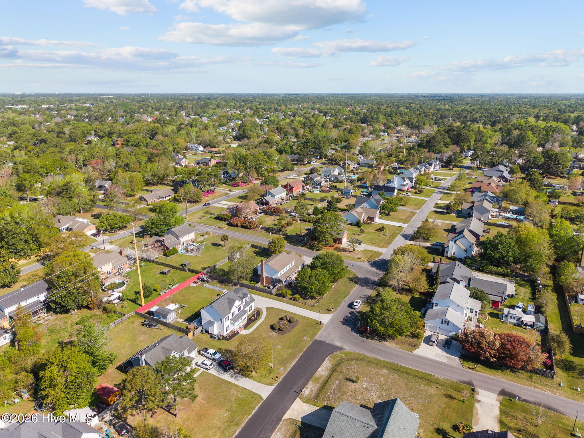 100564590 | Photo 51