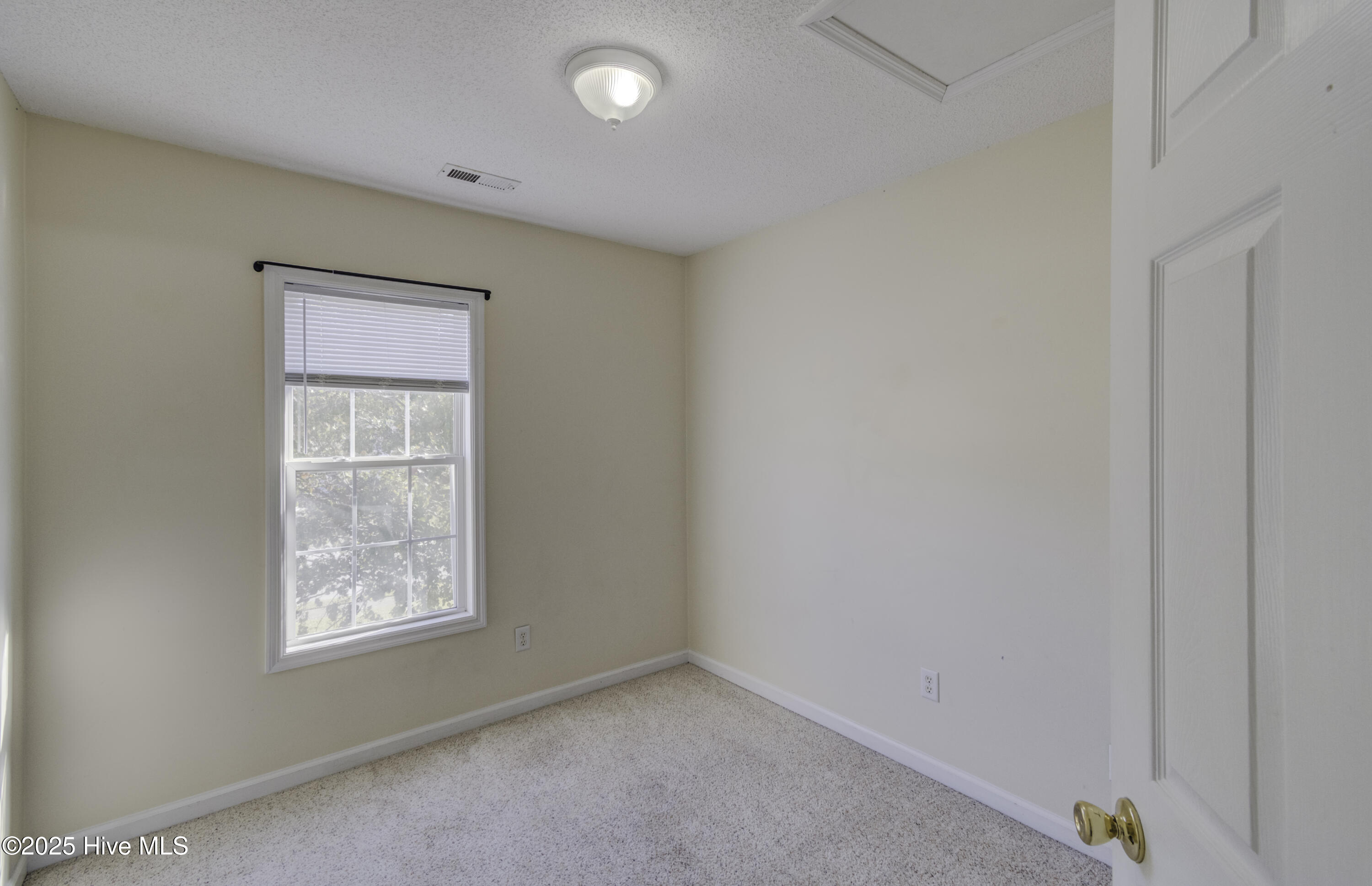 100536180 | Photo 26