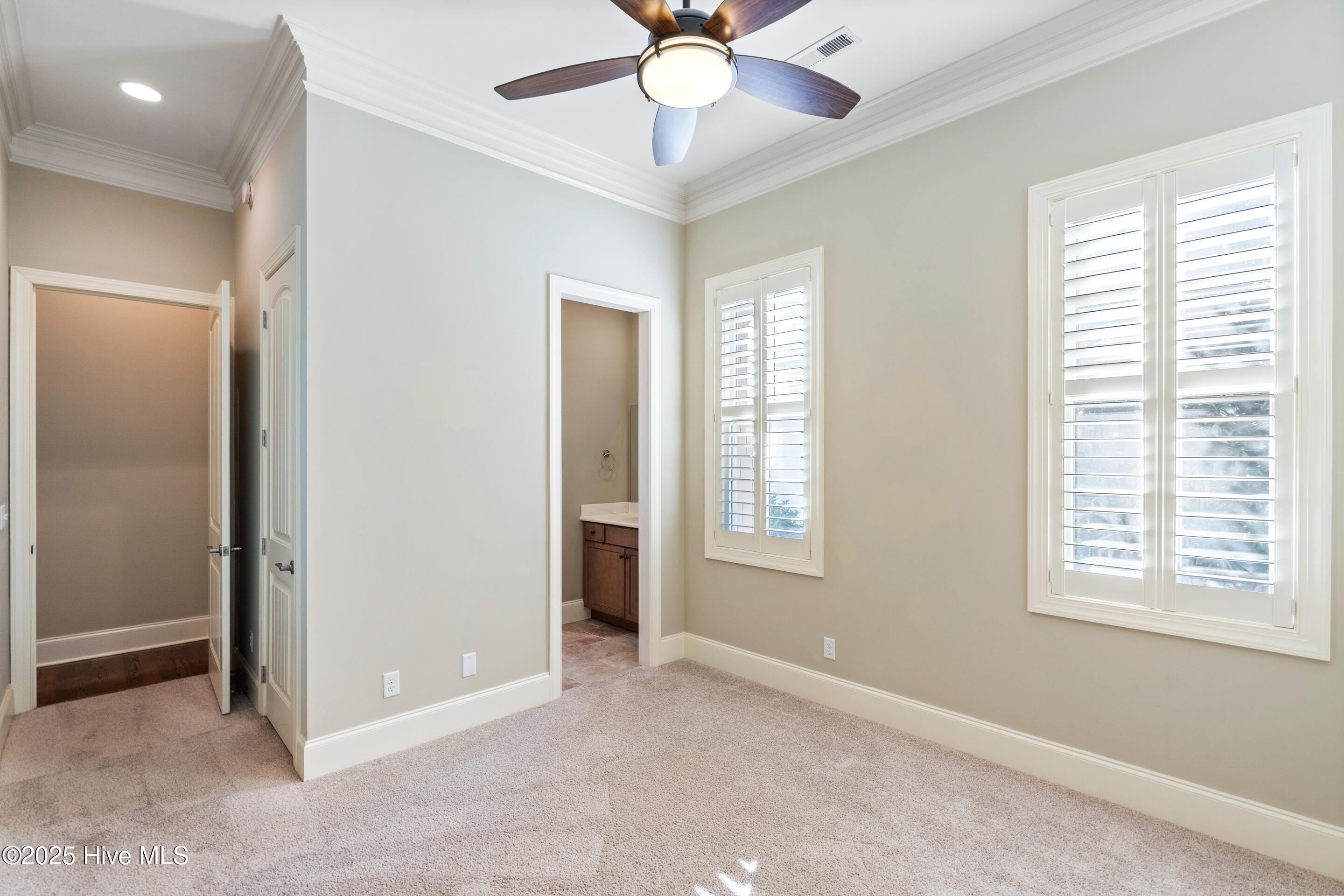 100537551 | Photo 31