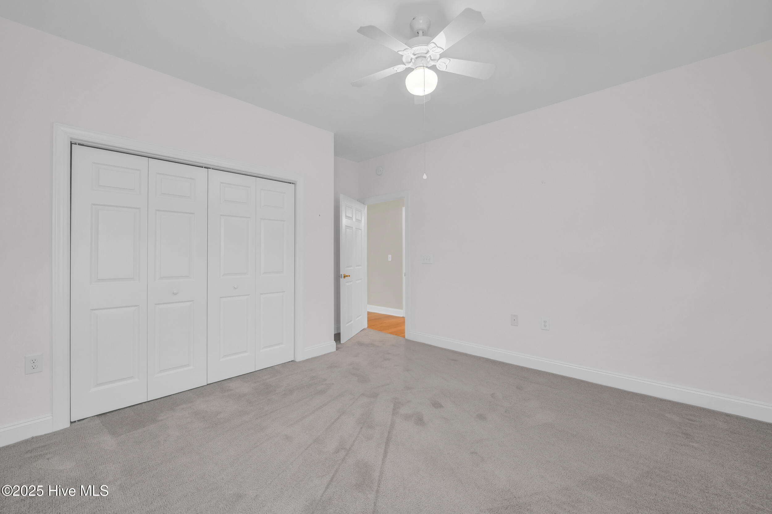 100564628 | Photo 24