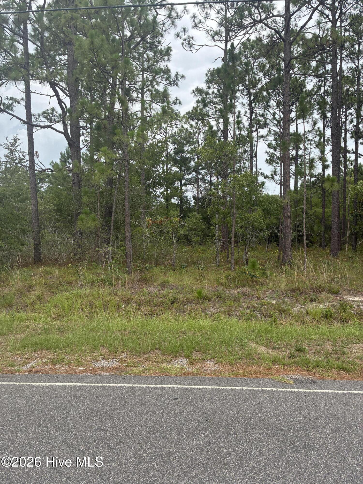 Carolina Barrier Islands