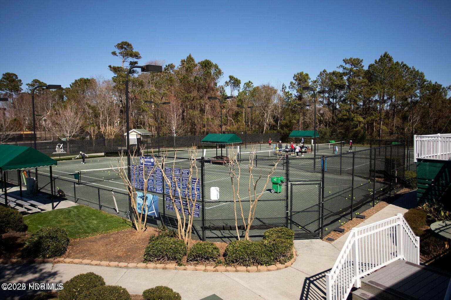 100561885 | Photo 105