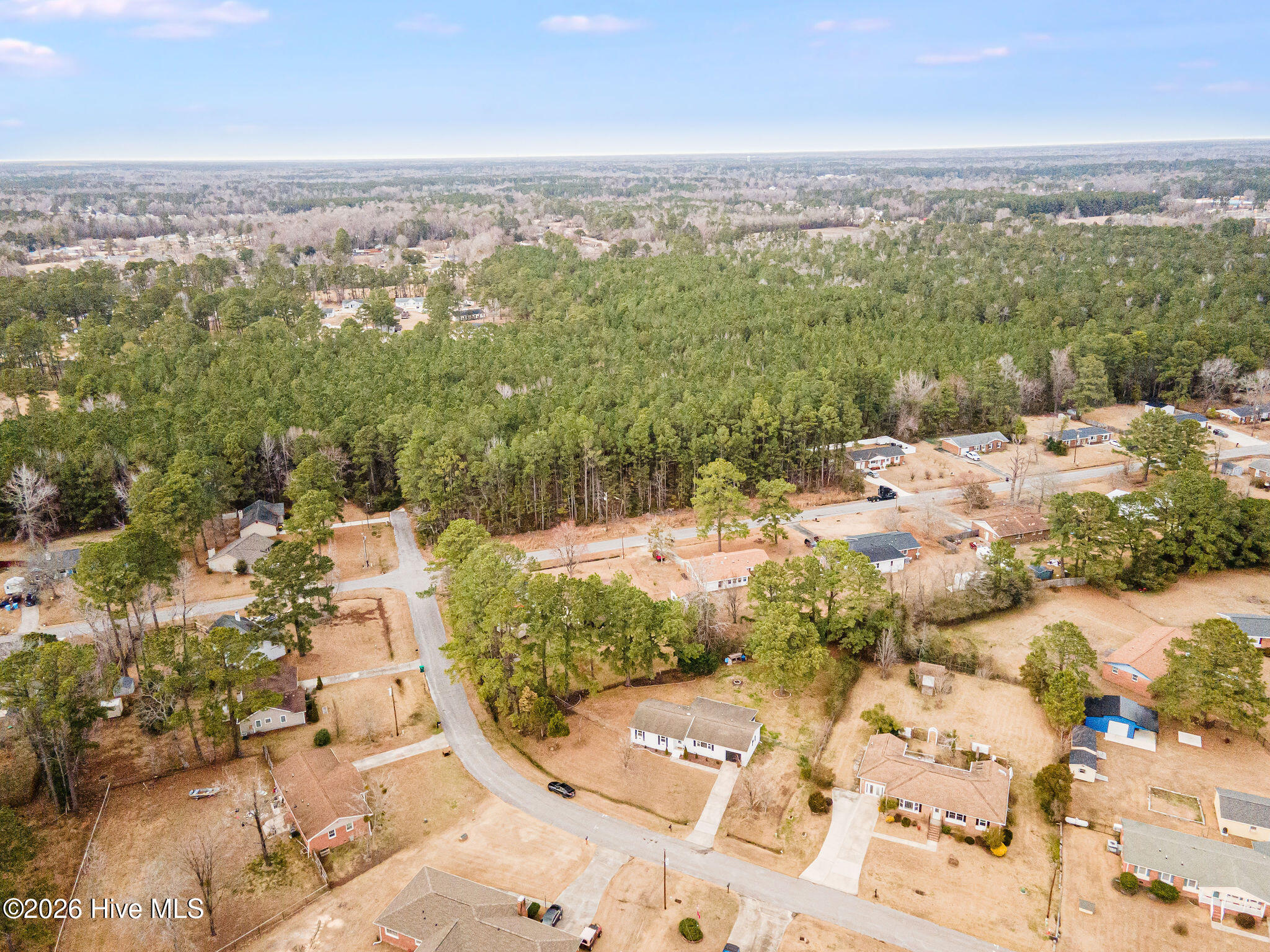 100555937 | Photo 33