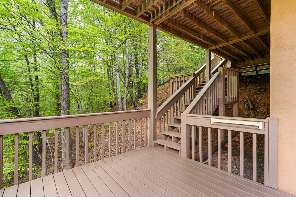 176 New Castle Road, Murphy, NC 28906 Listing Photo  34