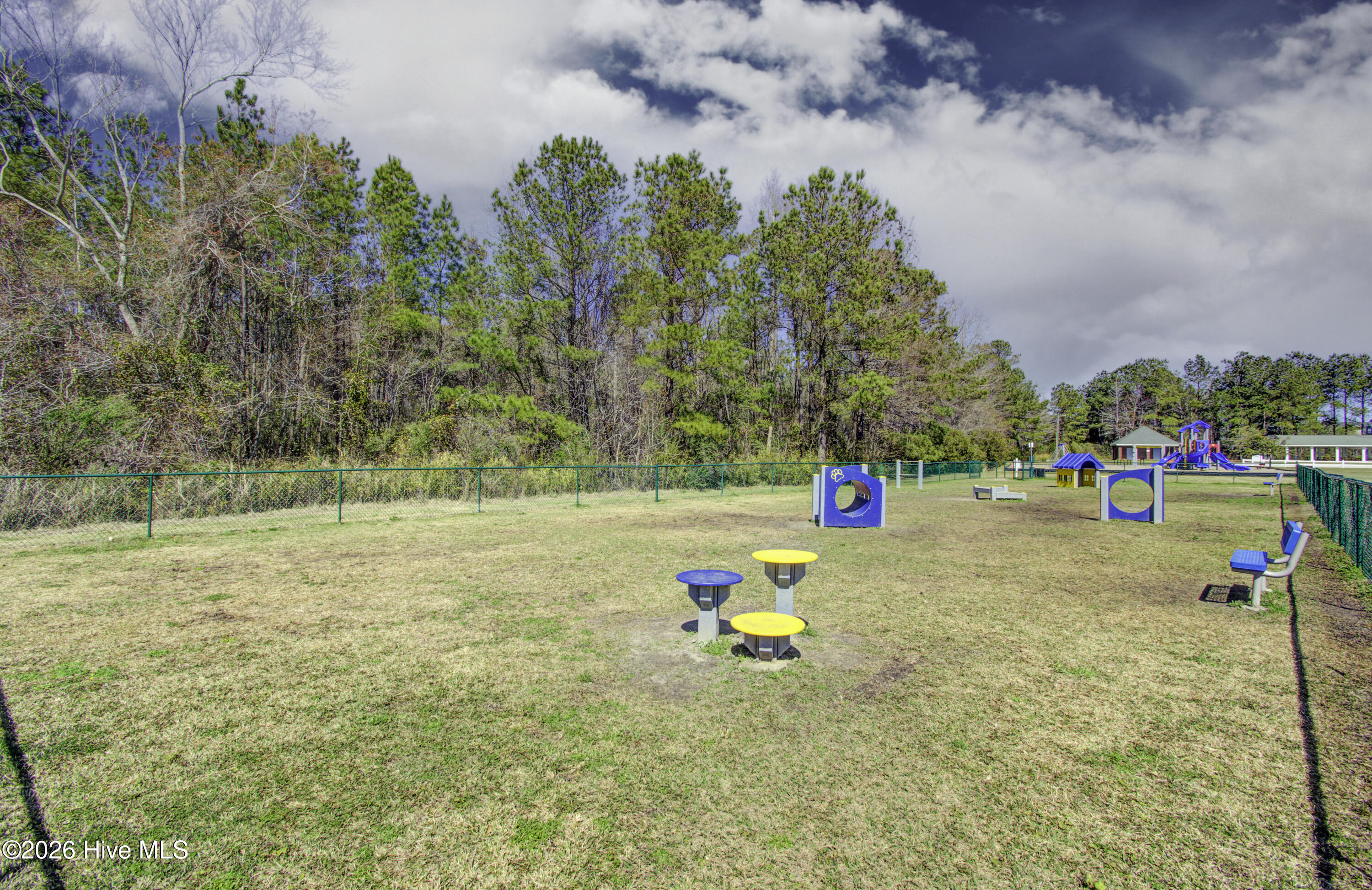 100549263 | Photo 79