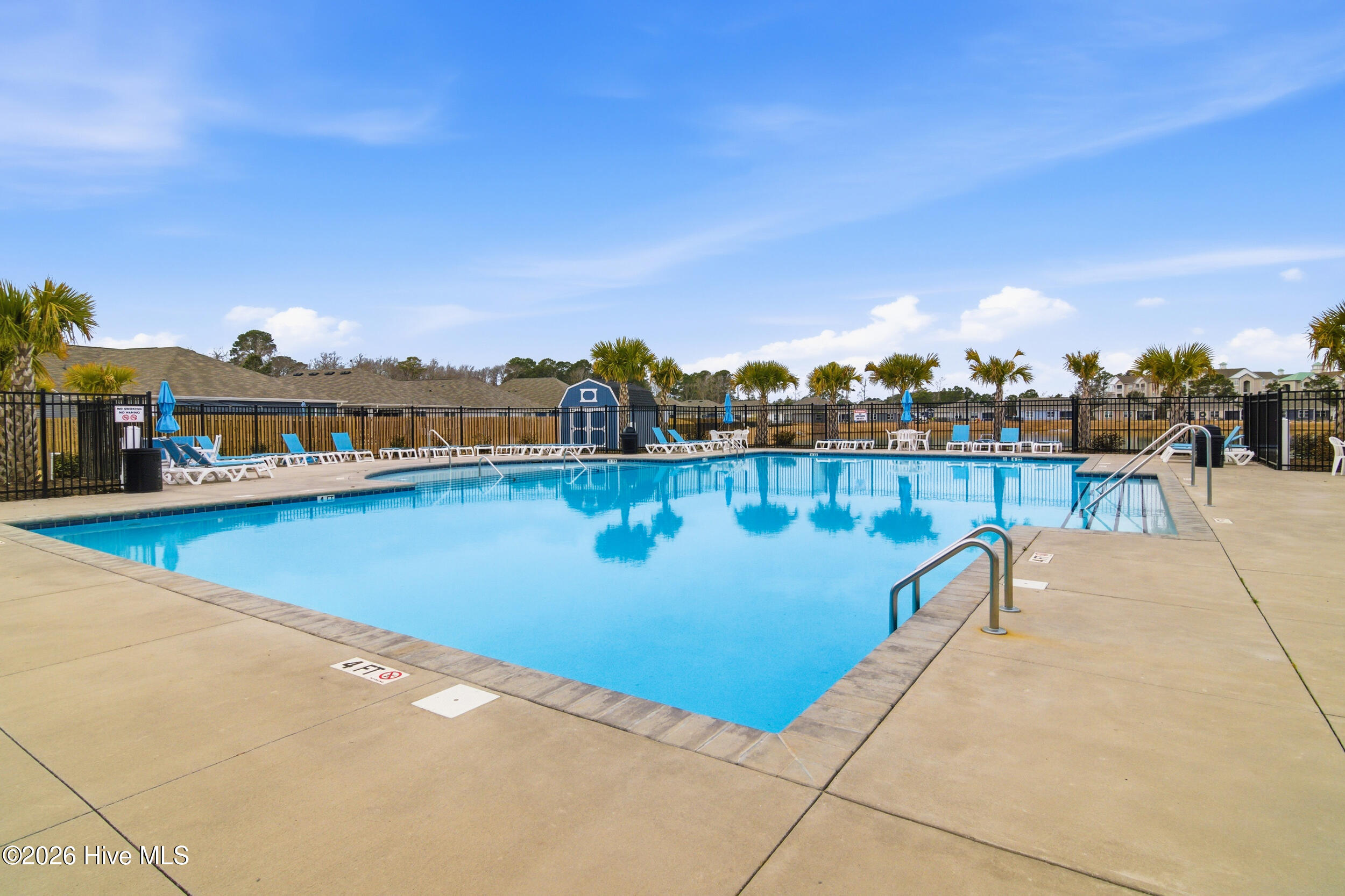 100555979 | Photo 69