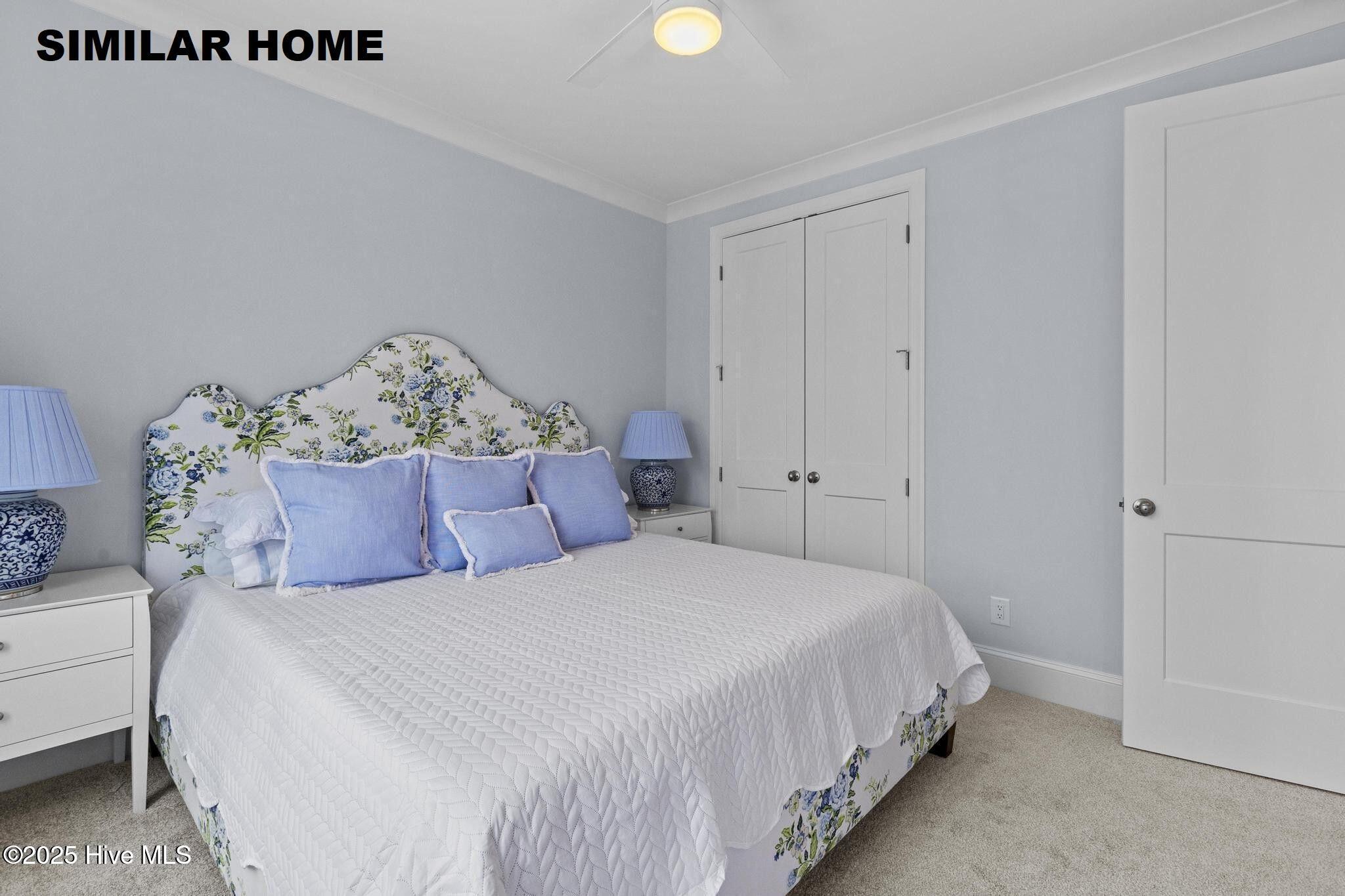 100519432 | Photo 34