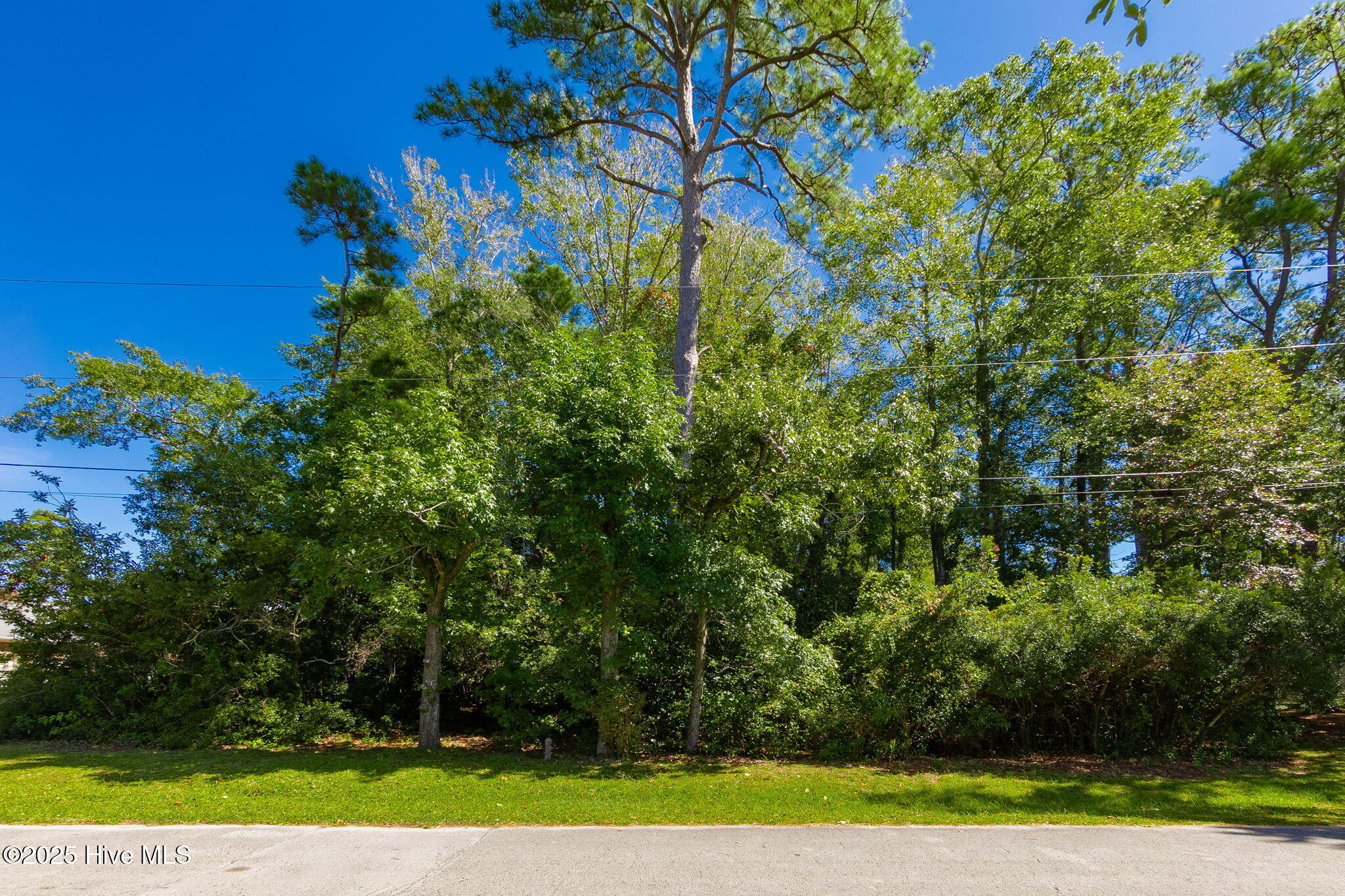 Vacant lot in Mitchell Village