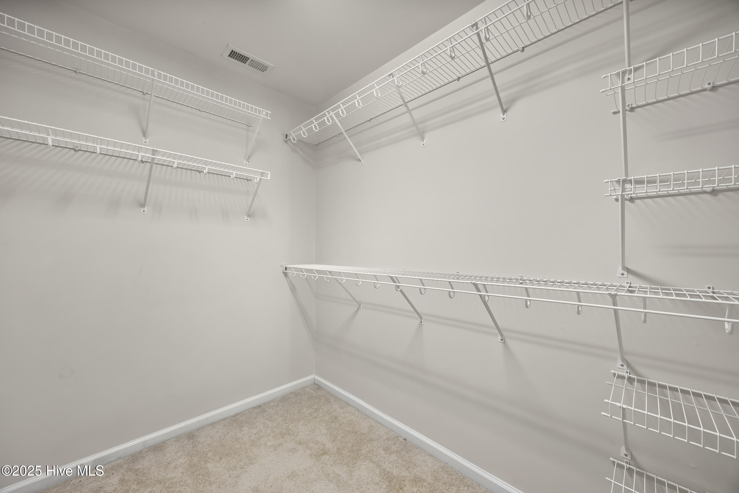 100533405 | Photo 31