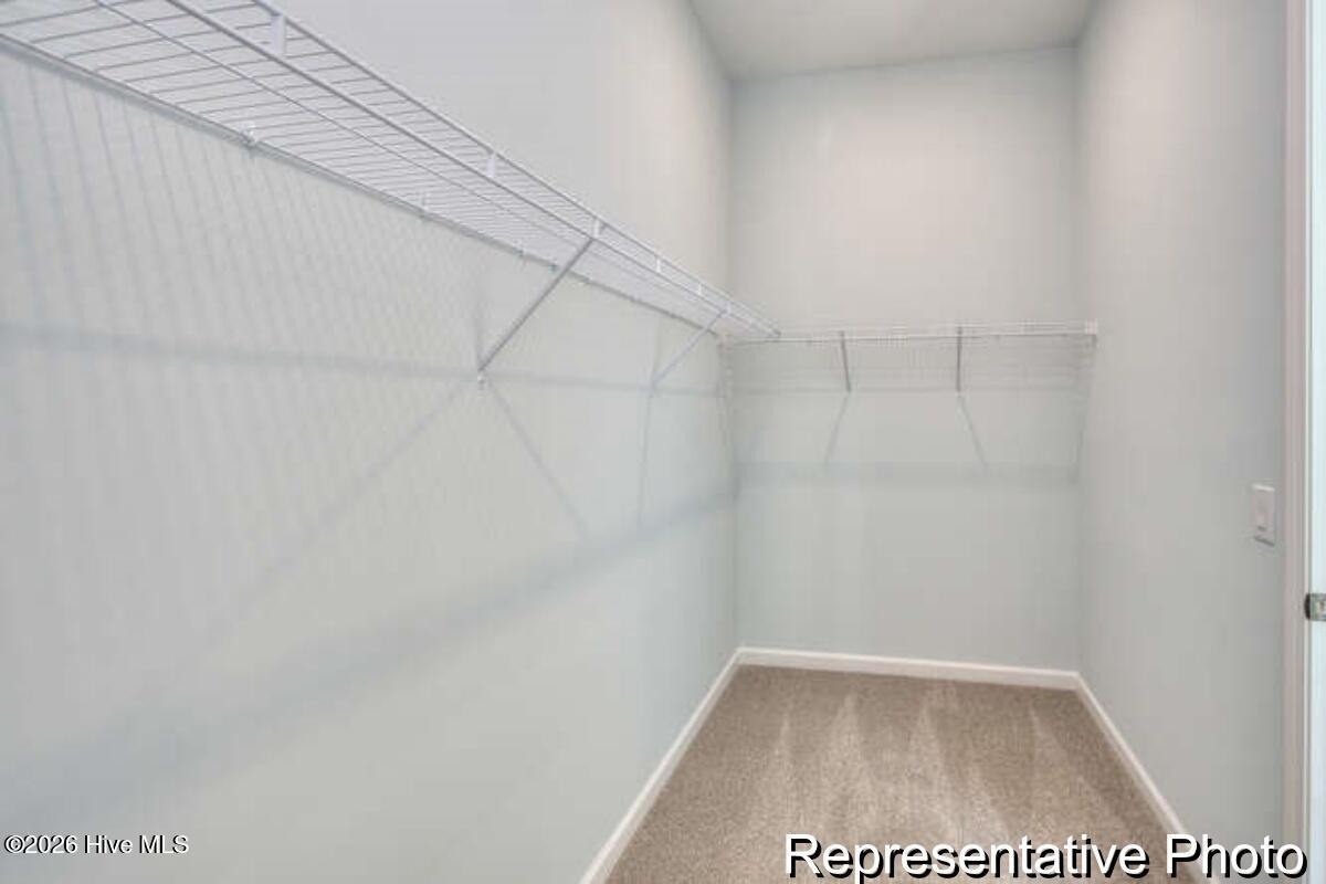 100563715 | Photo 21