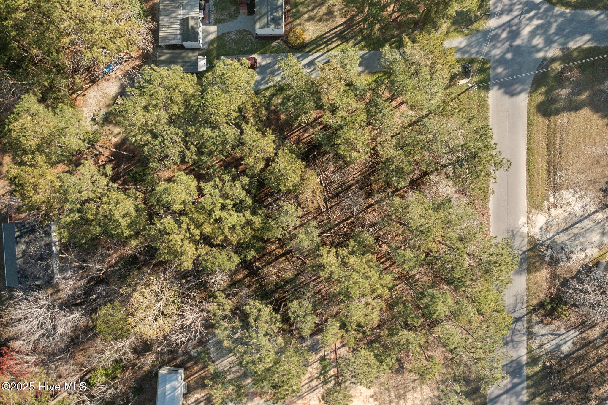 100497609 | Photo 11