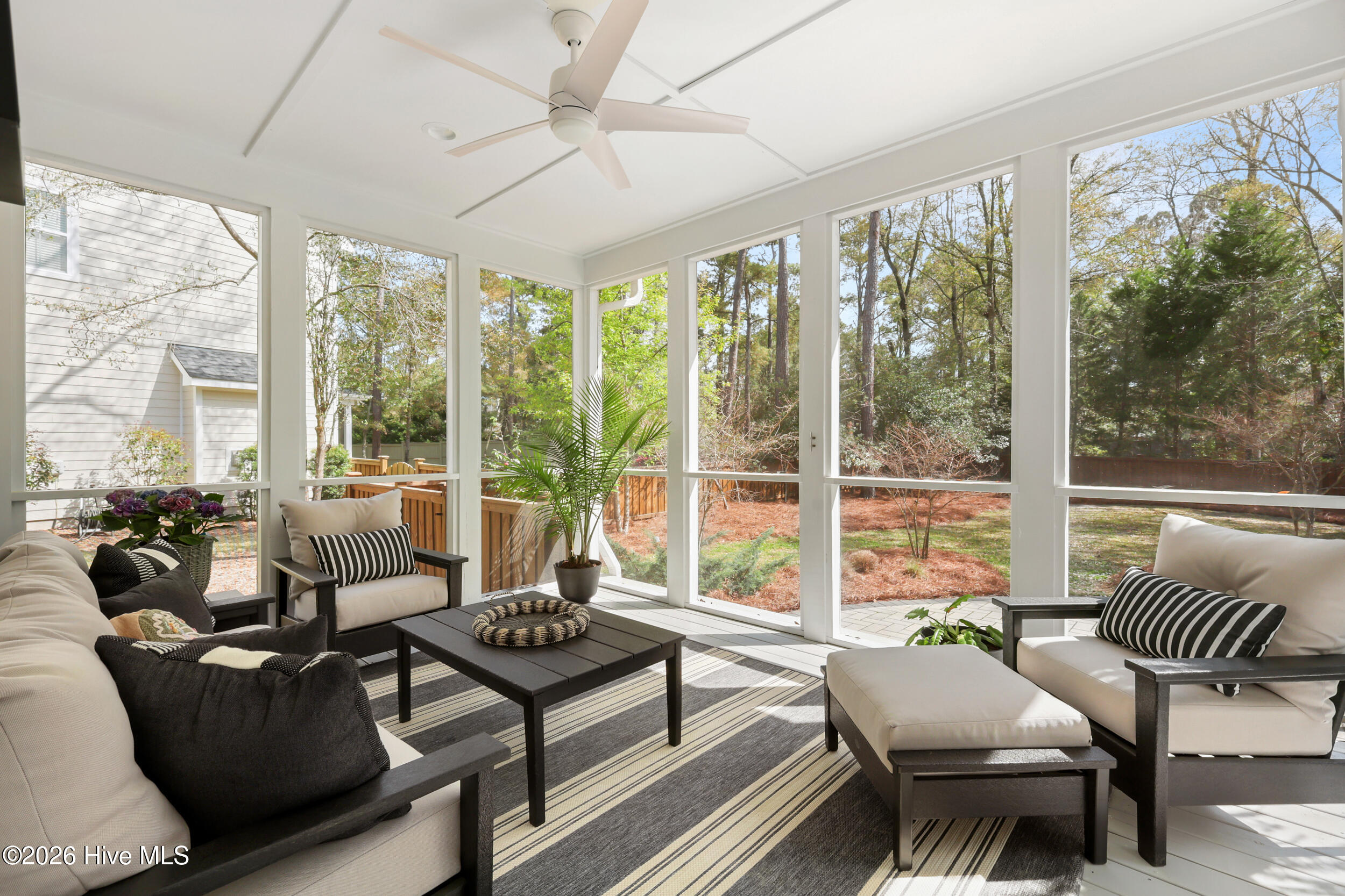 100562808 | Photo 35