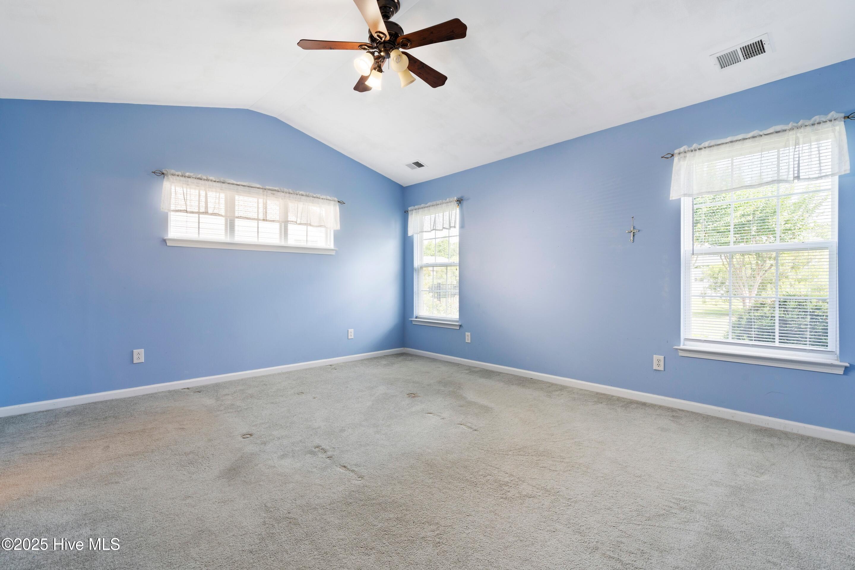 100509496 | Photo 22