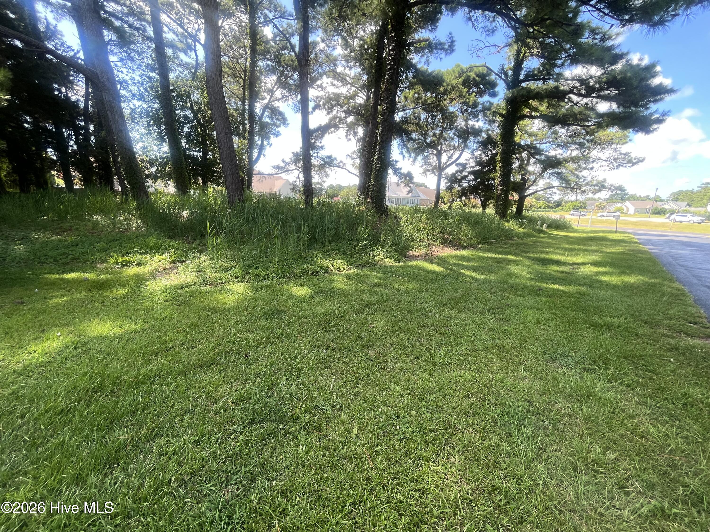 100571005 | Photo 5
