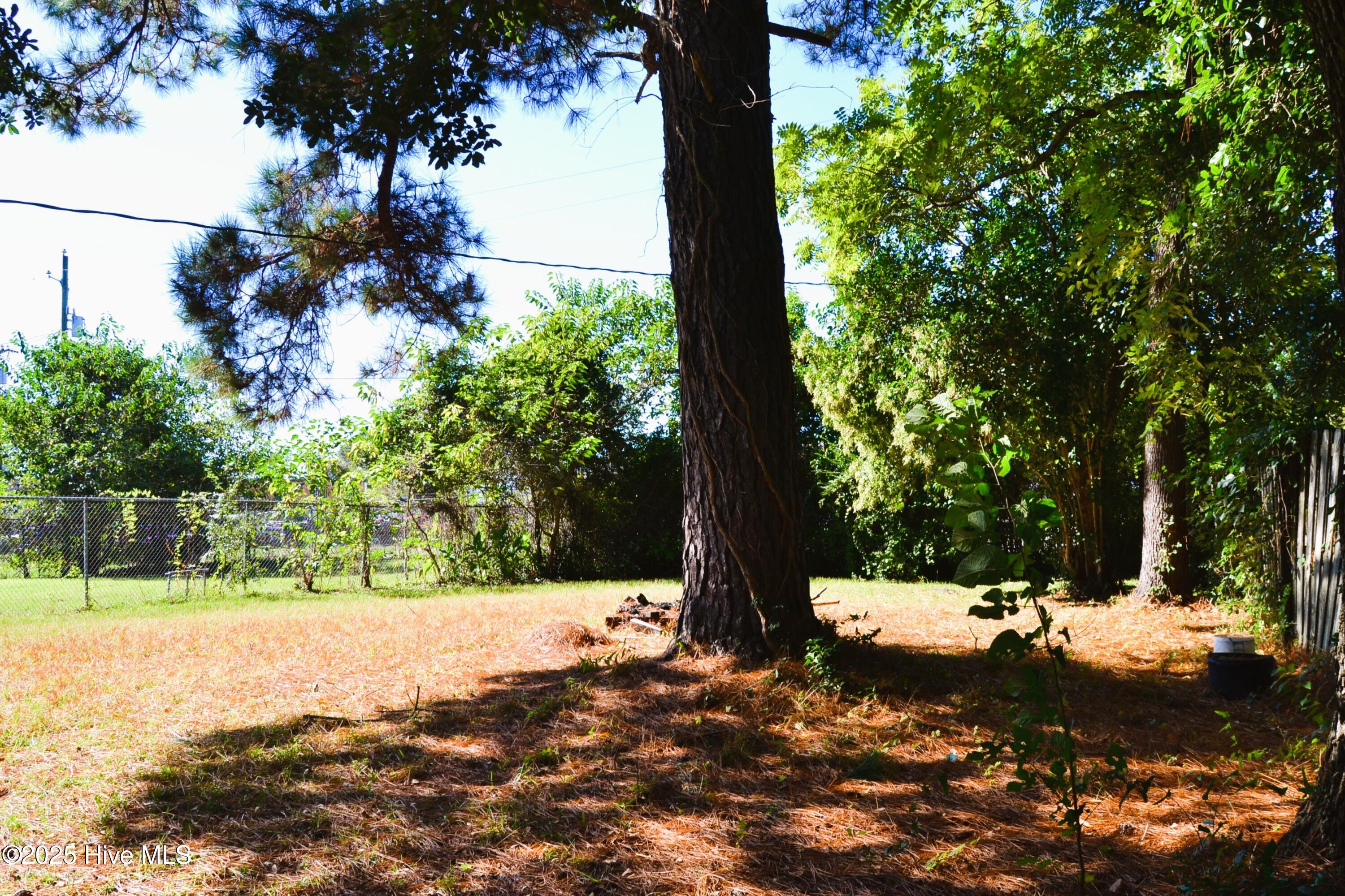 100534399 | Photo 21