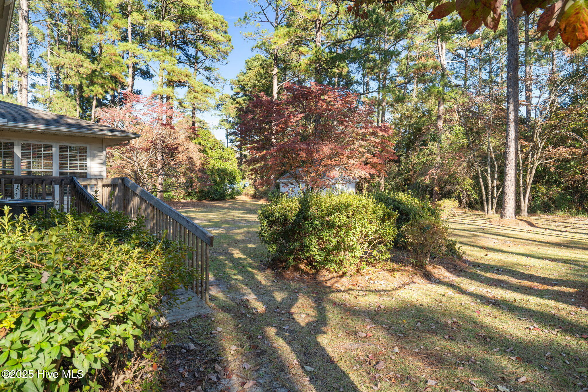 49-web-or-mls-DSC06909