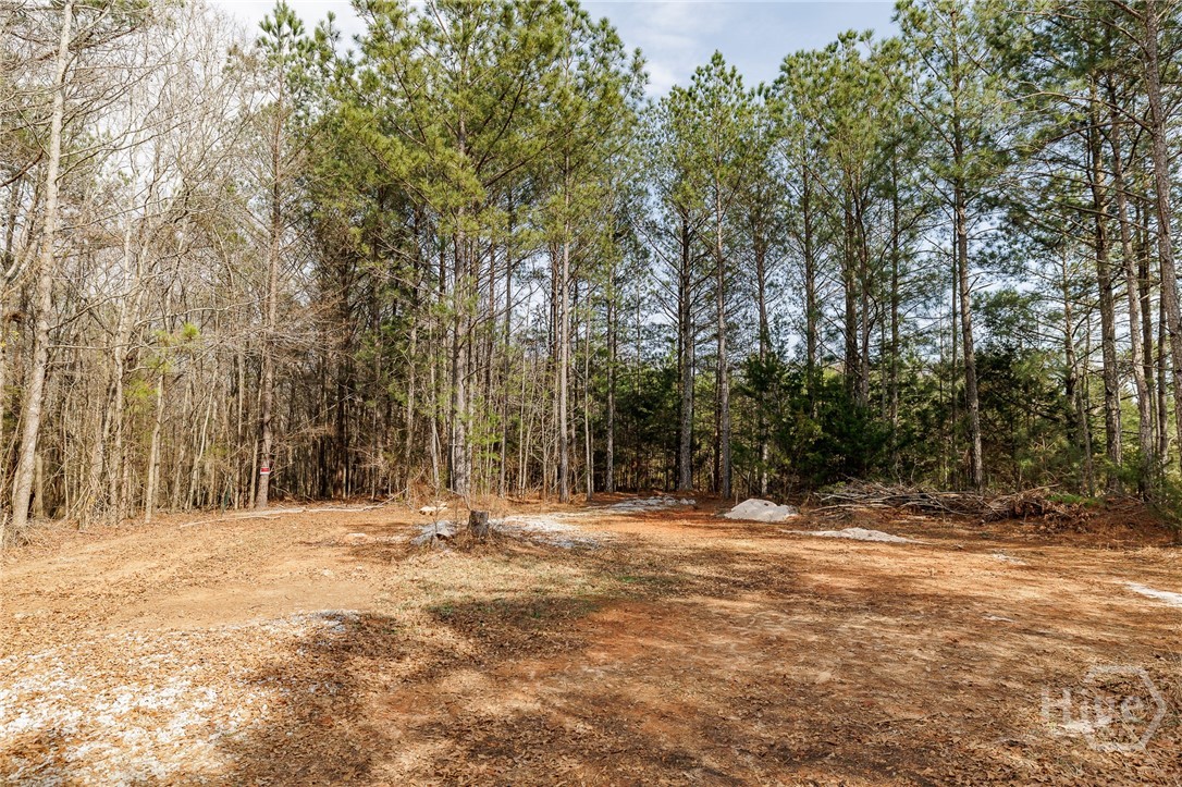 65 Lexington Carlton Road, Lexington, GA, 30648