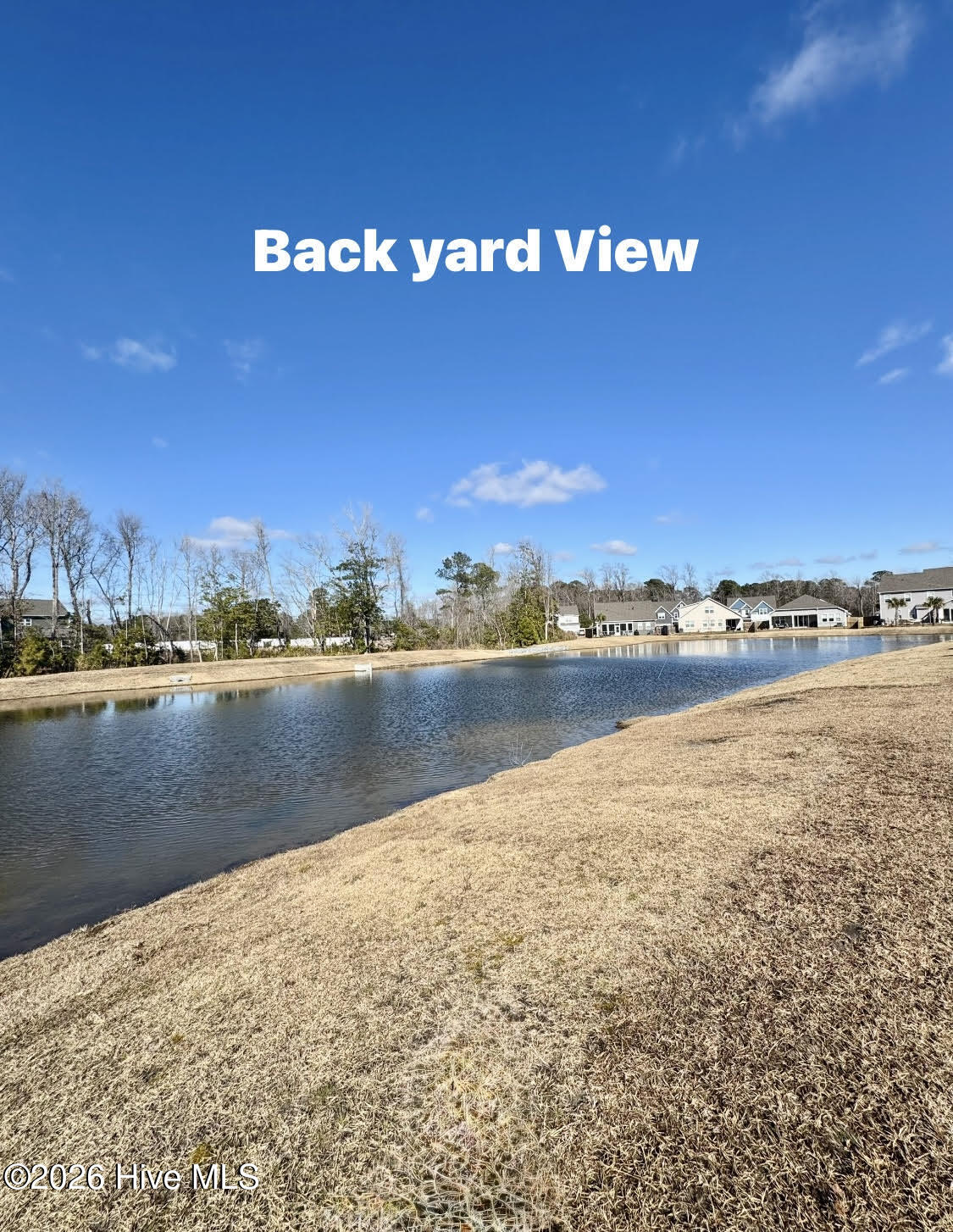 100558914 | Photo 24